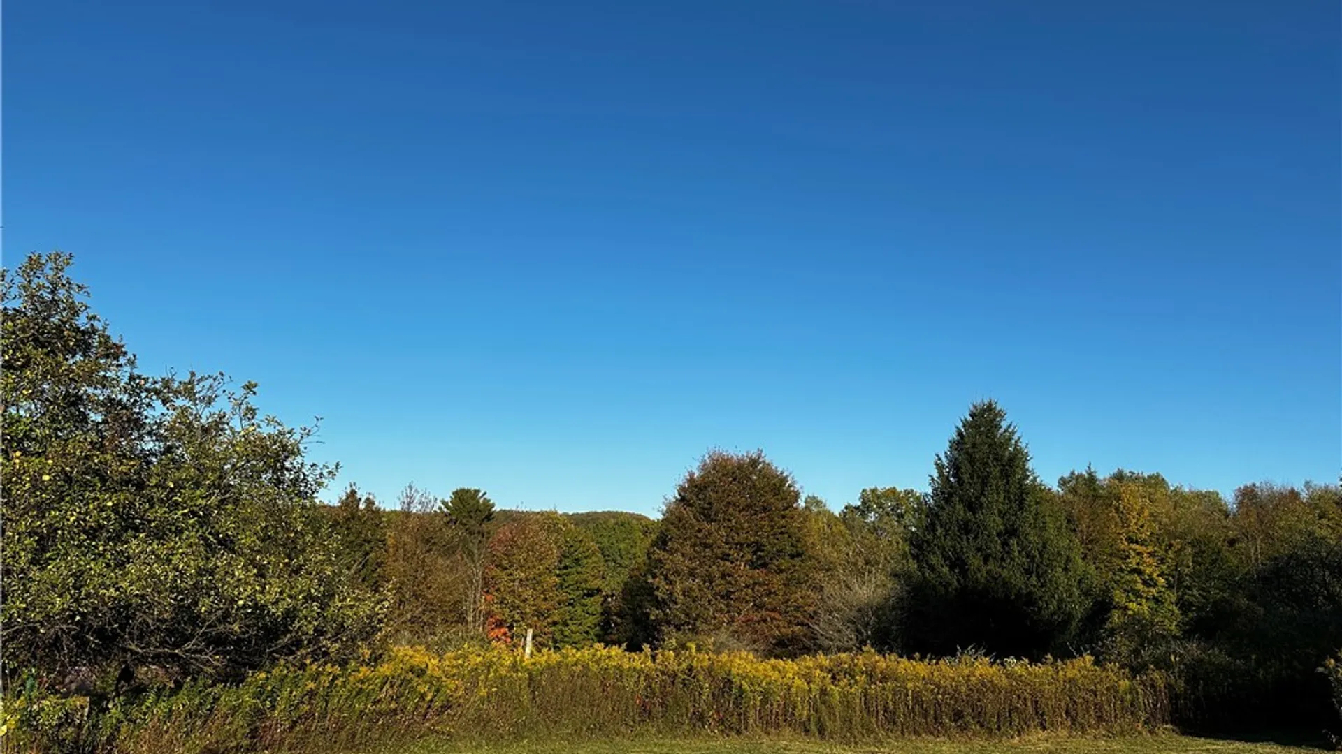 Property at 9096 Route 240, Ashford, NY 14171 5