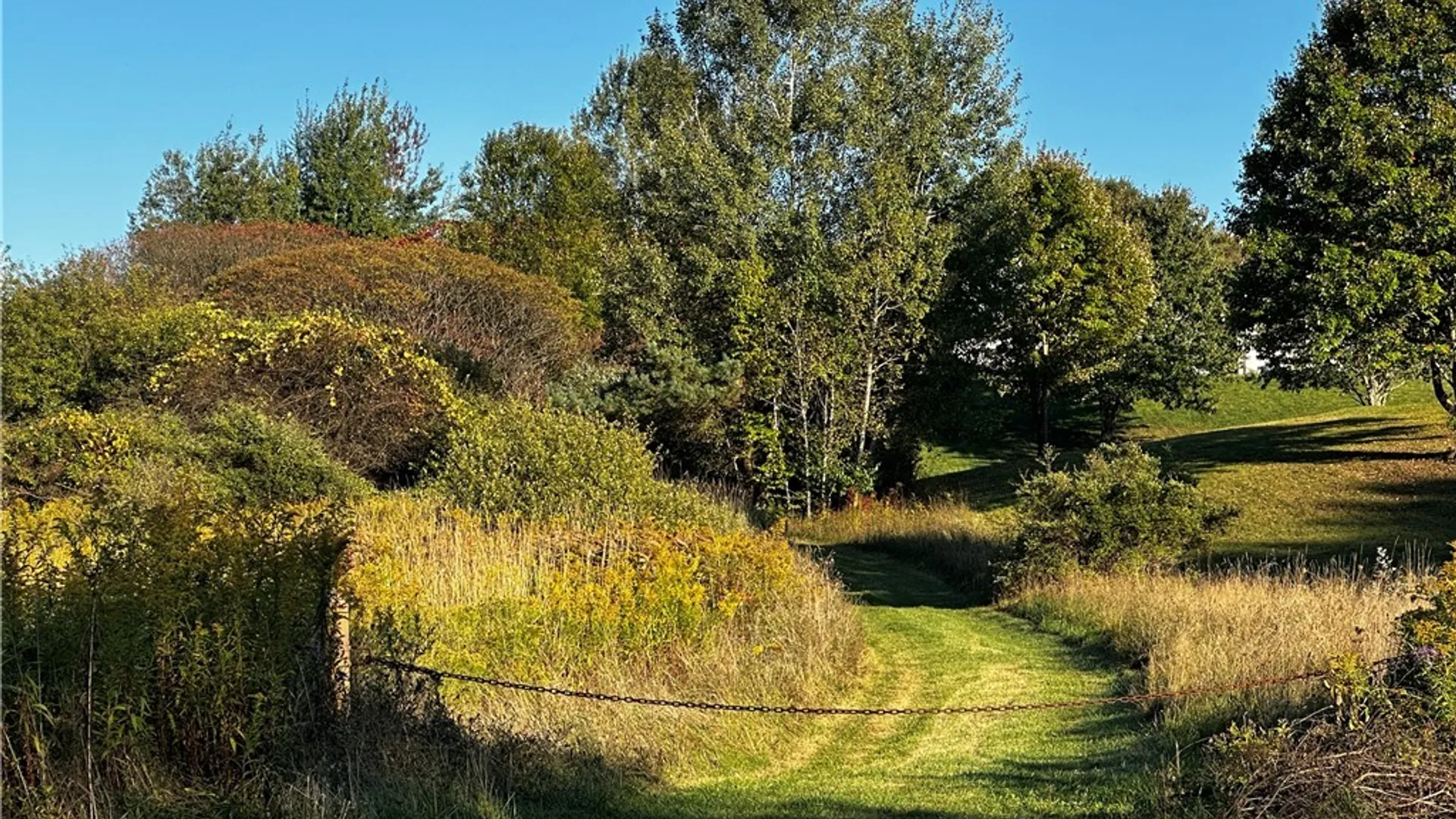 Property at 9096 Route 240, Ashford, NY 14171 7