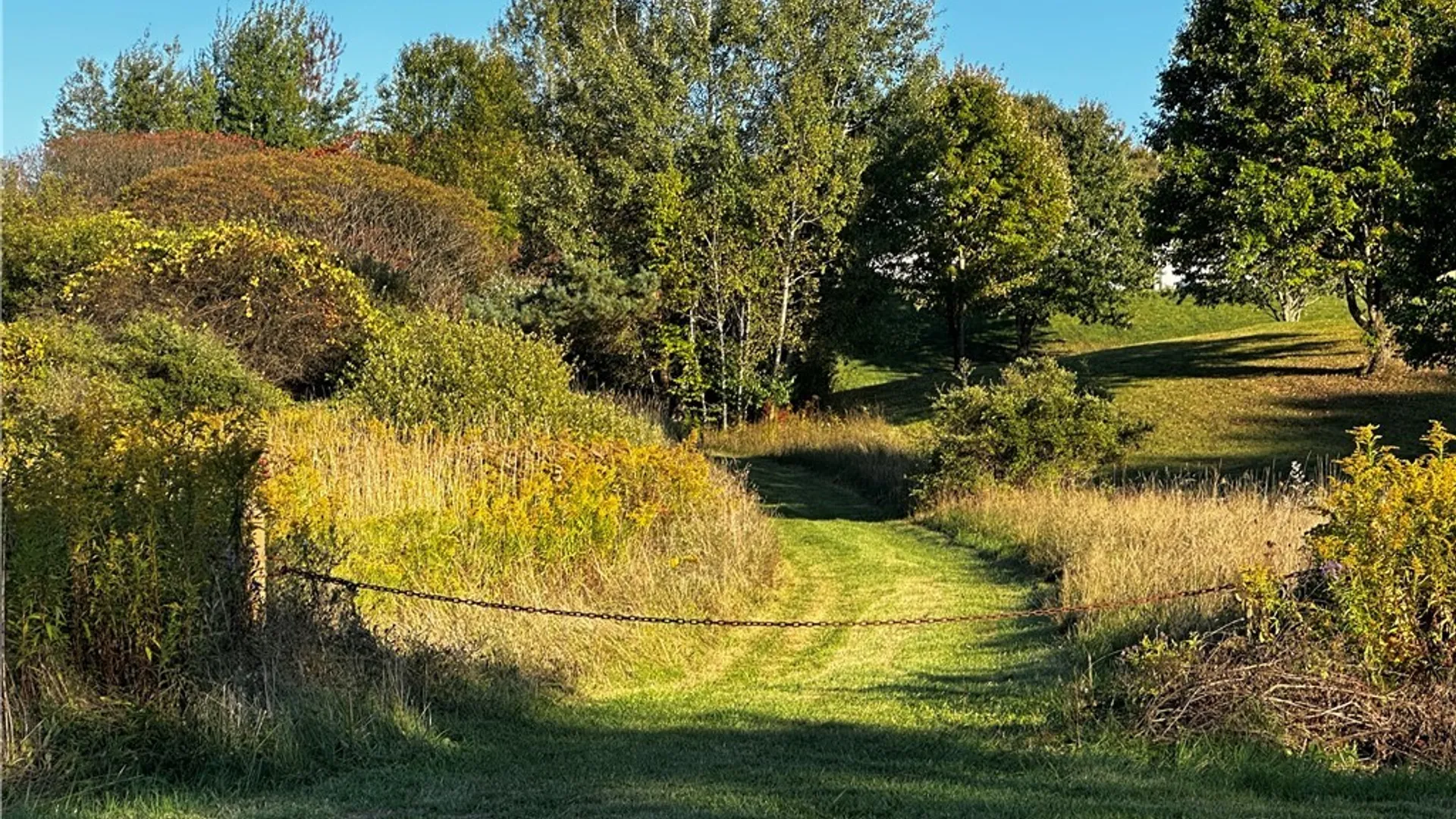 Property at 9096 Route 240, Ashford, NY 14171 8