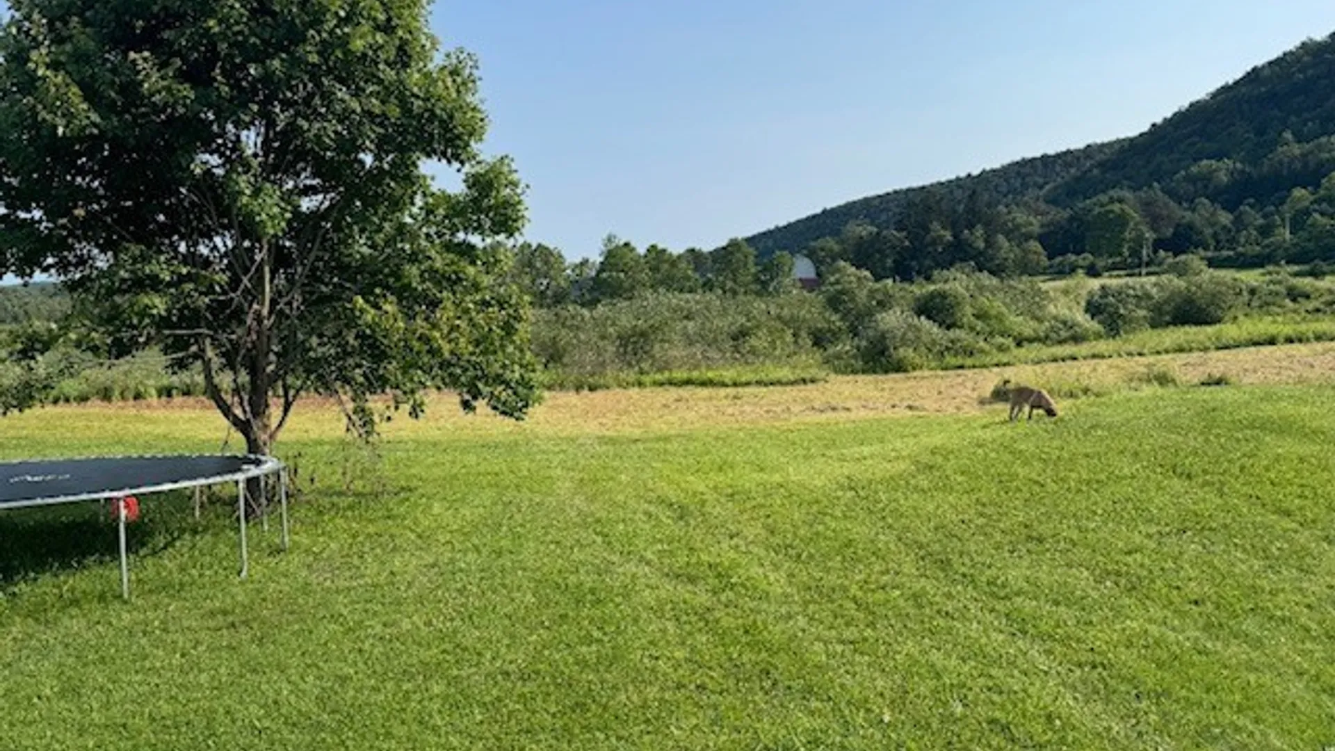 Property at 24 Hillview Road, Danby, NY 14883 22