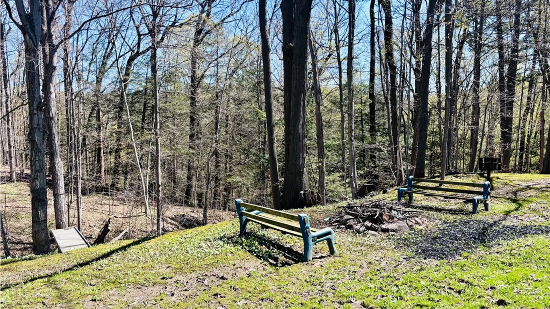 Property at 8913 Kysorville Byersville Road, West Sparta, NY 14437 14