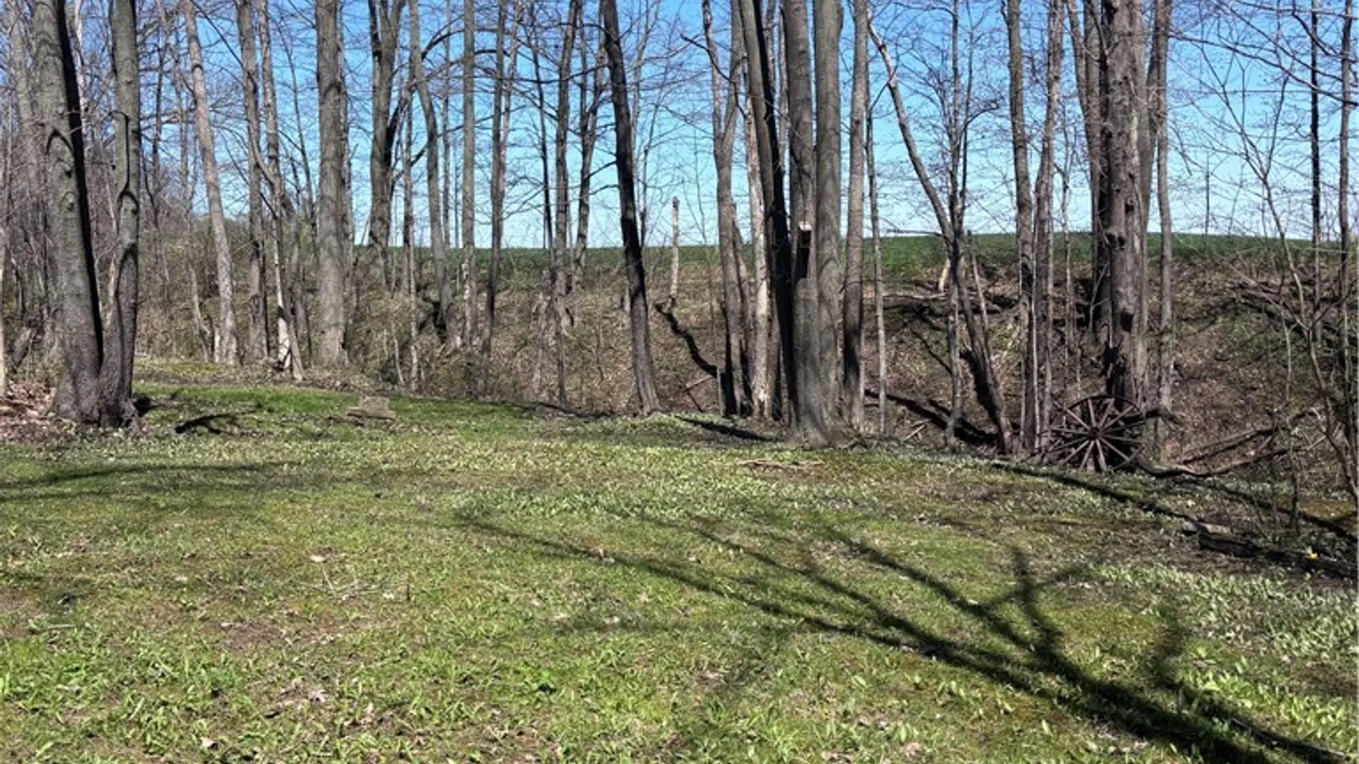 Property at 8913 Kysorville Byersville Road, West Sparta, NY 14437 16