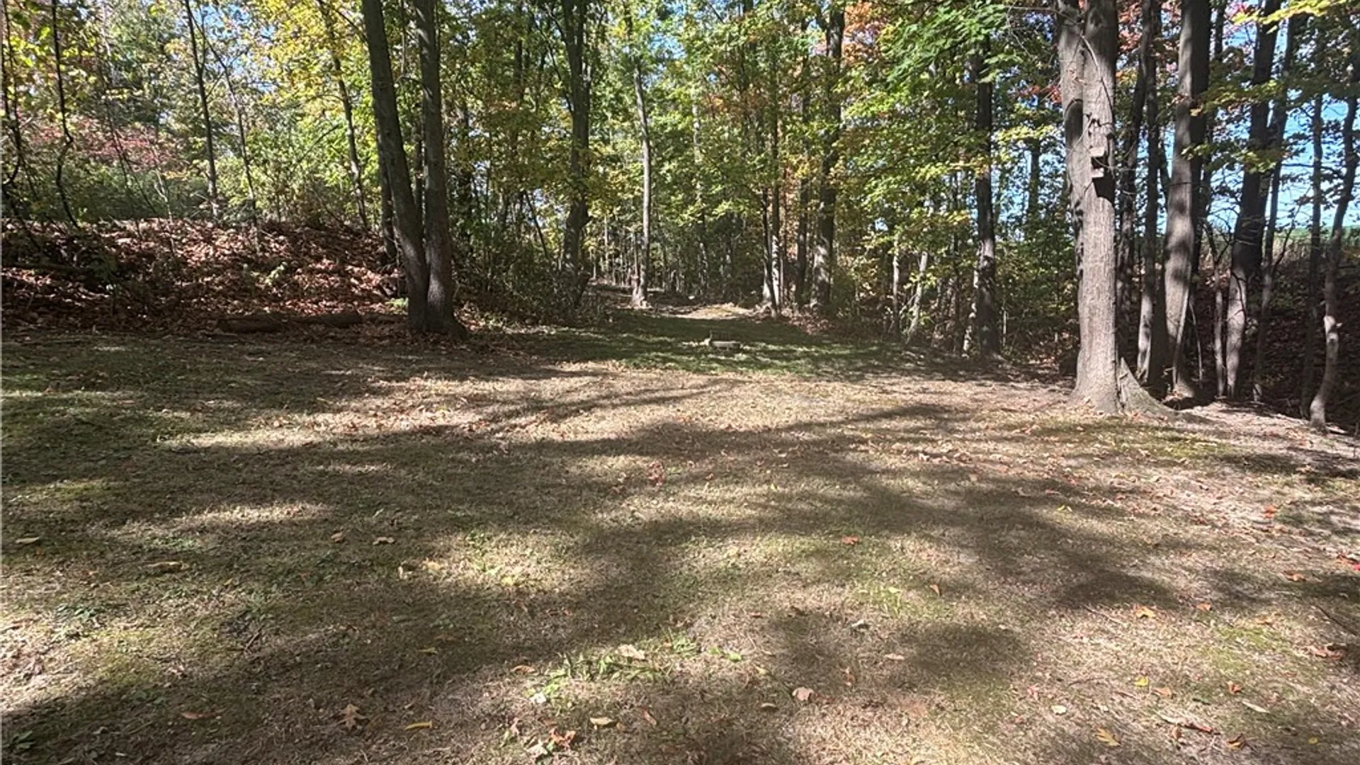 Property at 8913 Kysorville Byersville Road, West Sparta, NY 14437 17