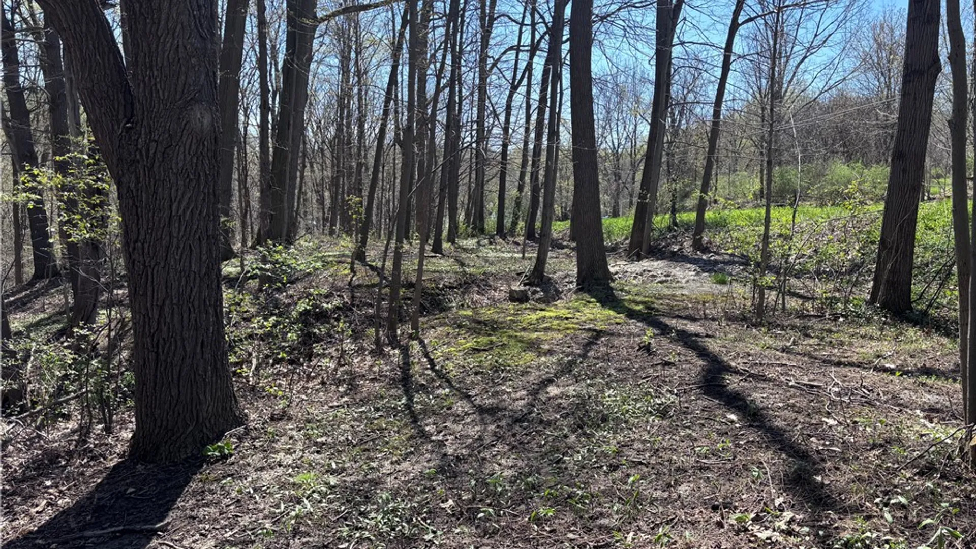 Property at 8913 Kysorville Byersville Road, West Sparta, NY 14437 19