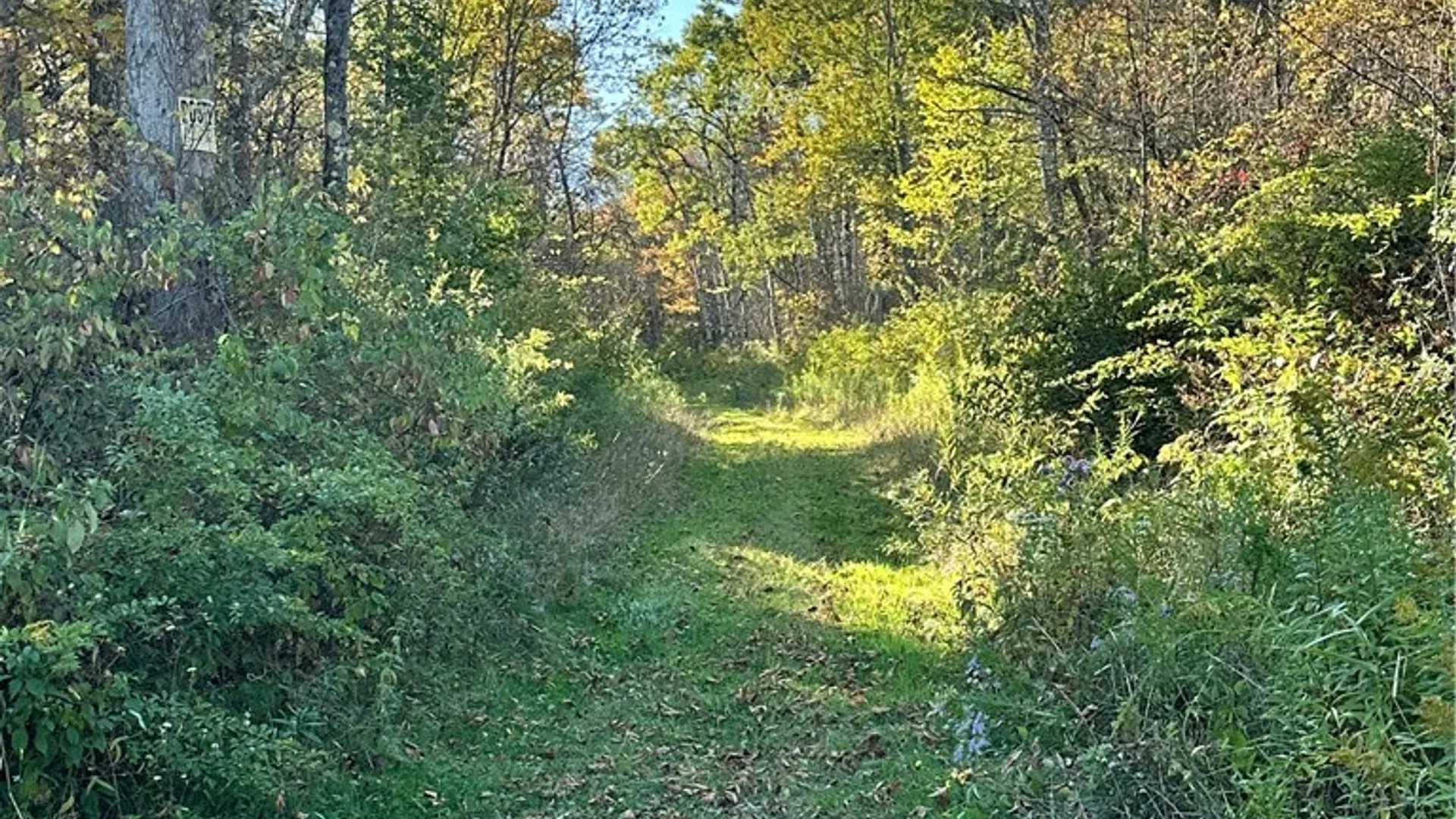 Property at Painter Hill Road, Oxford, NY 13830 2