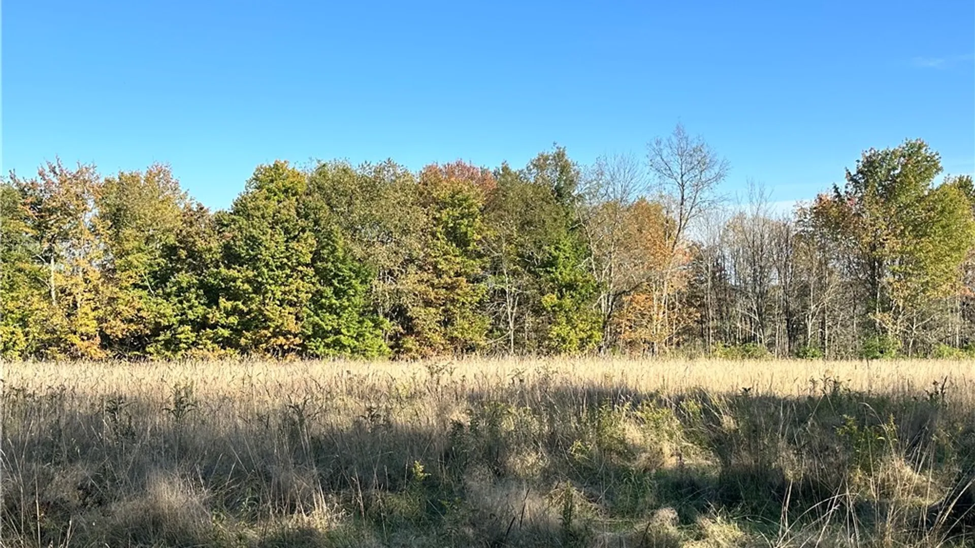 Property at Painter Hill Road, Oxford, NY 13830 4