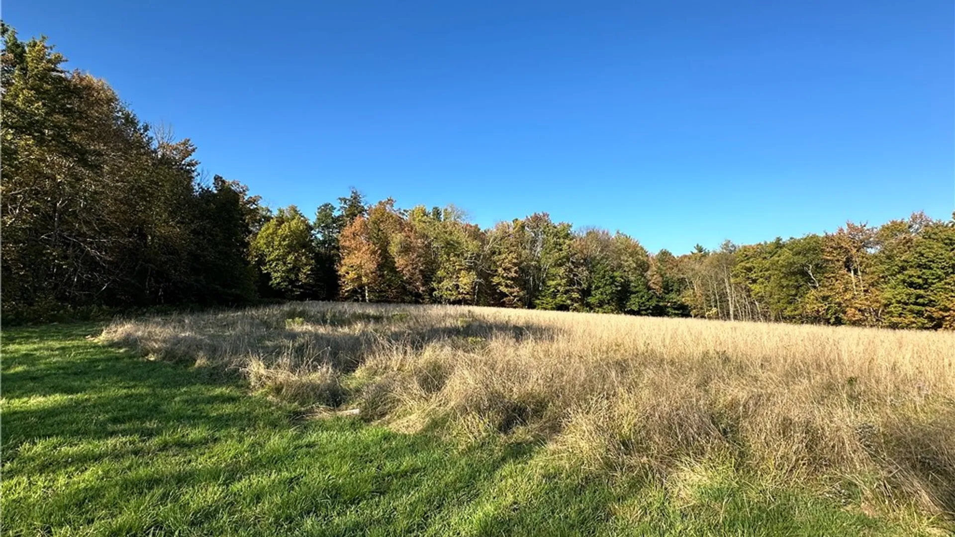 Property at Painter Hill Road, Oxford, NY 13830 8