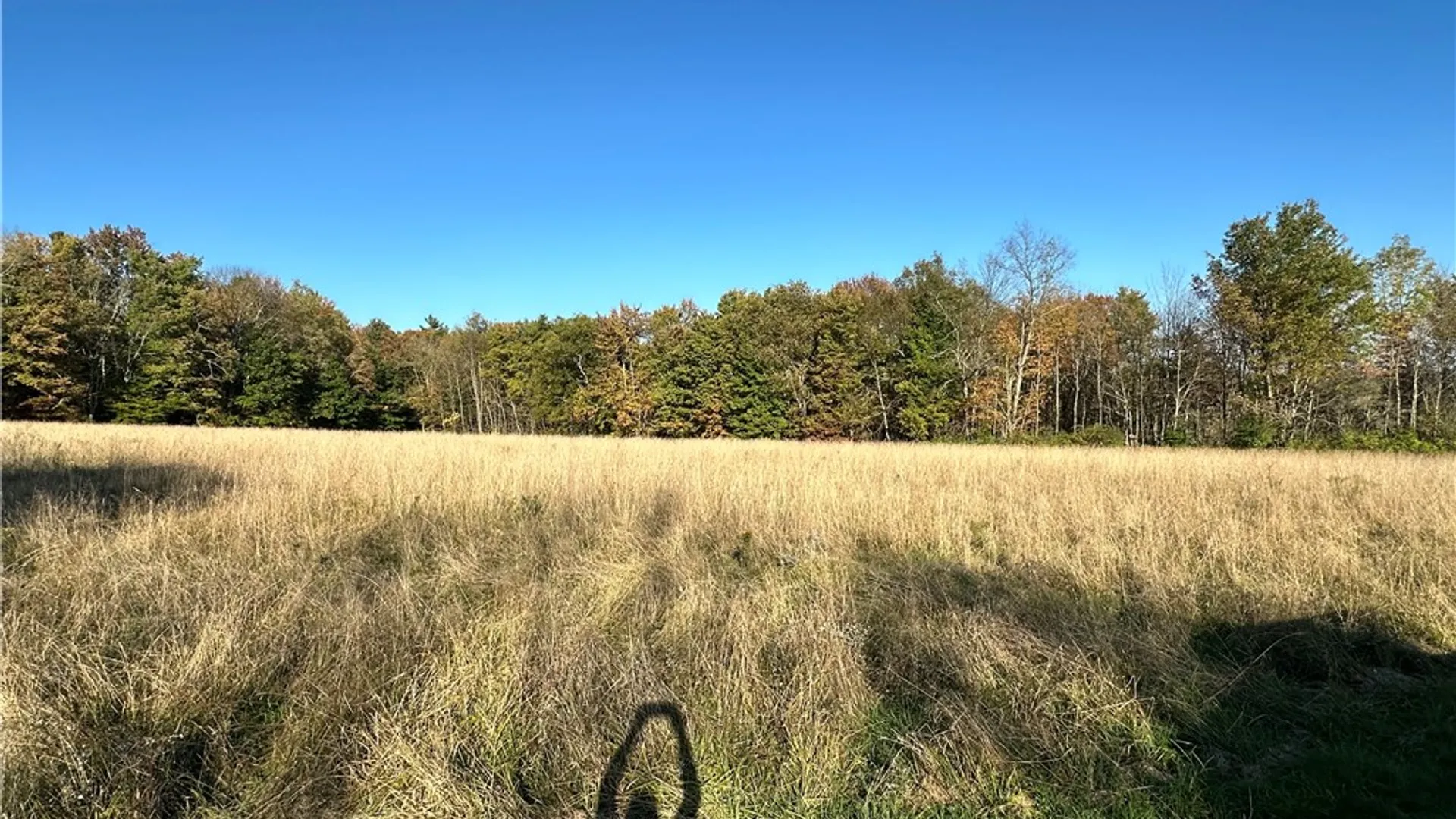 Property at Painter Hill Road, Oxford, NY 13830 9