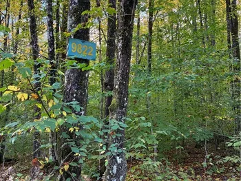 9822 Culver Brook Rd, Boonville, NY 13309