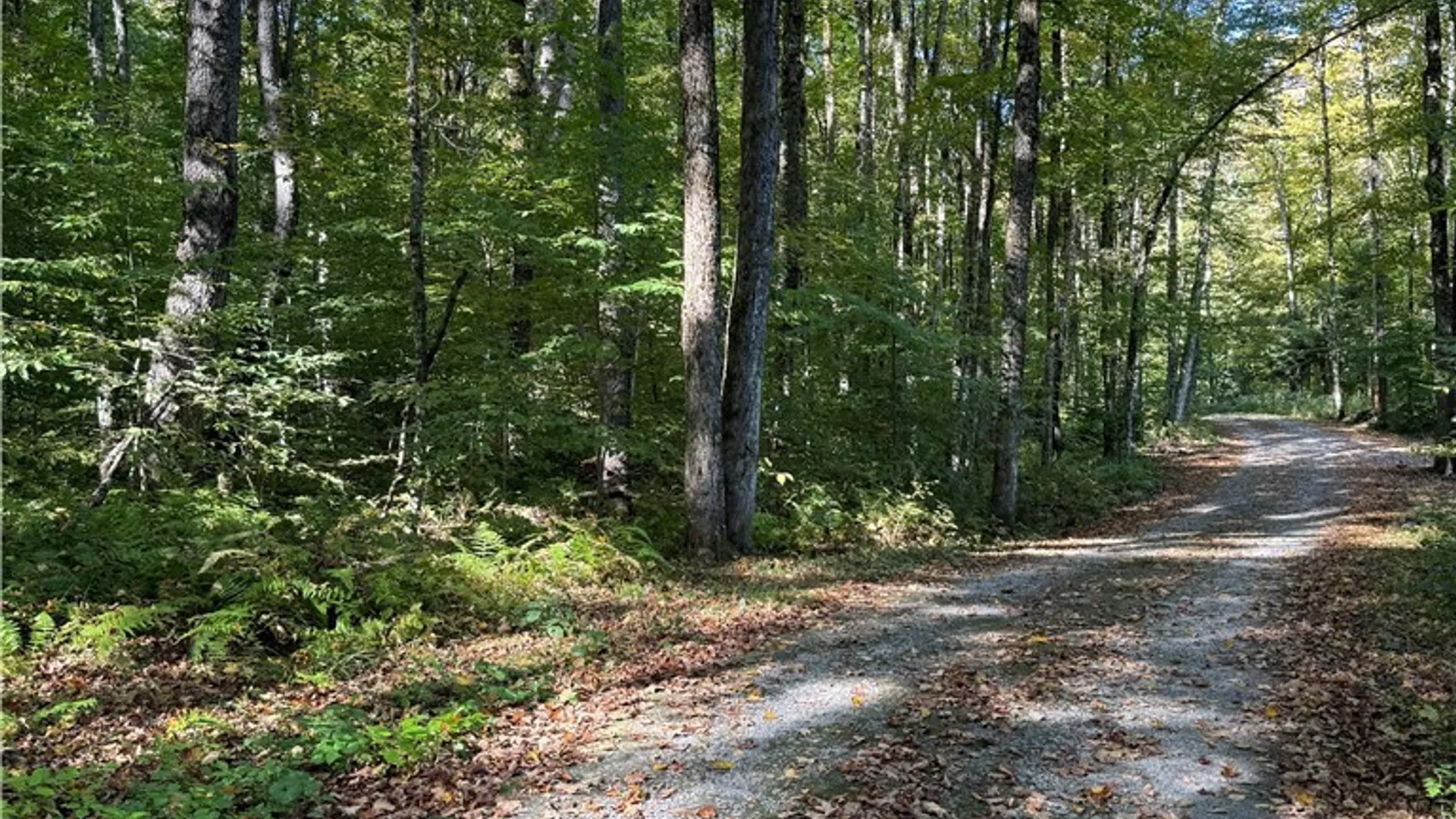 Property at 9822 Culver Brook Rd, Boonville, NY 13309 3