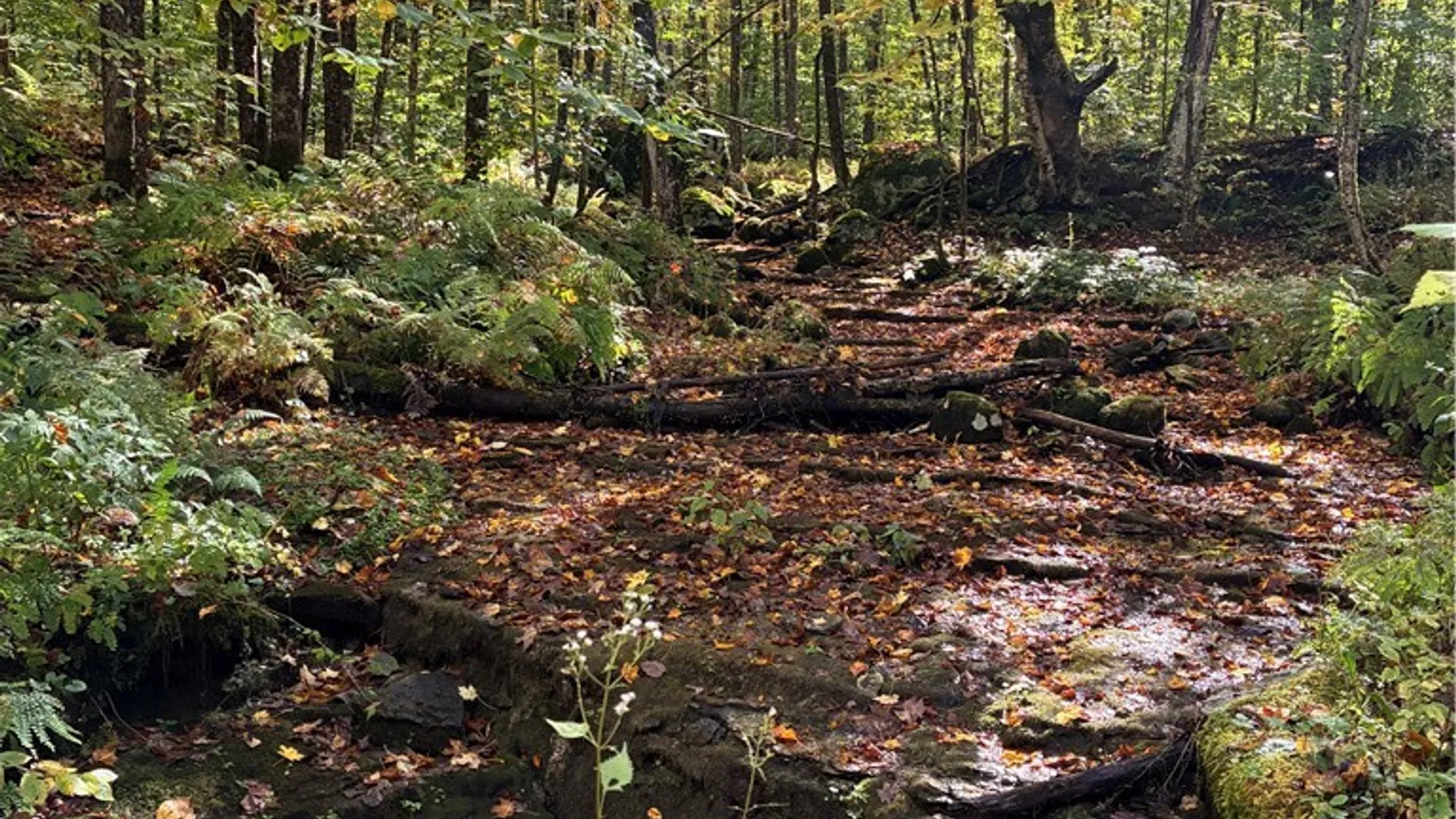 Property at 9822 Culver Brook Rd, Boonville, NY 13309 8