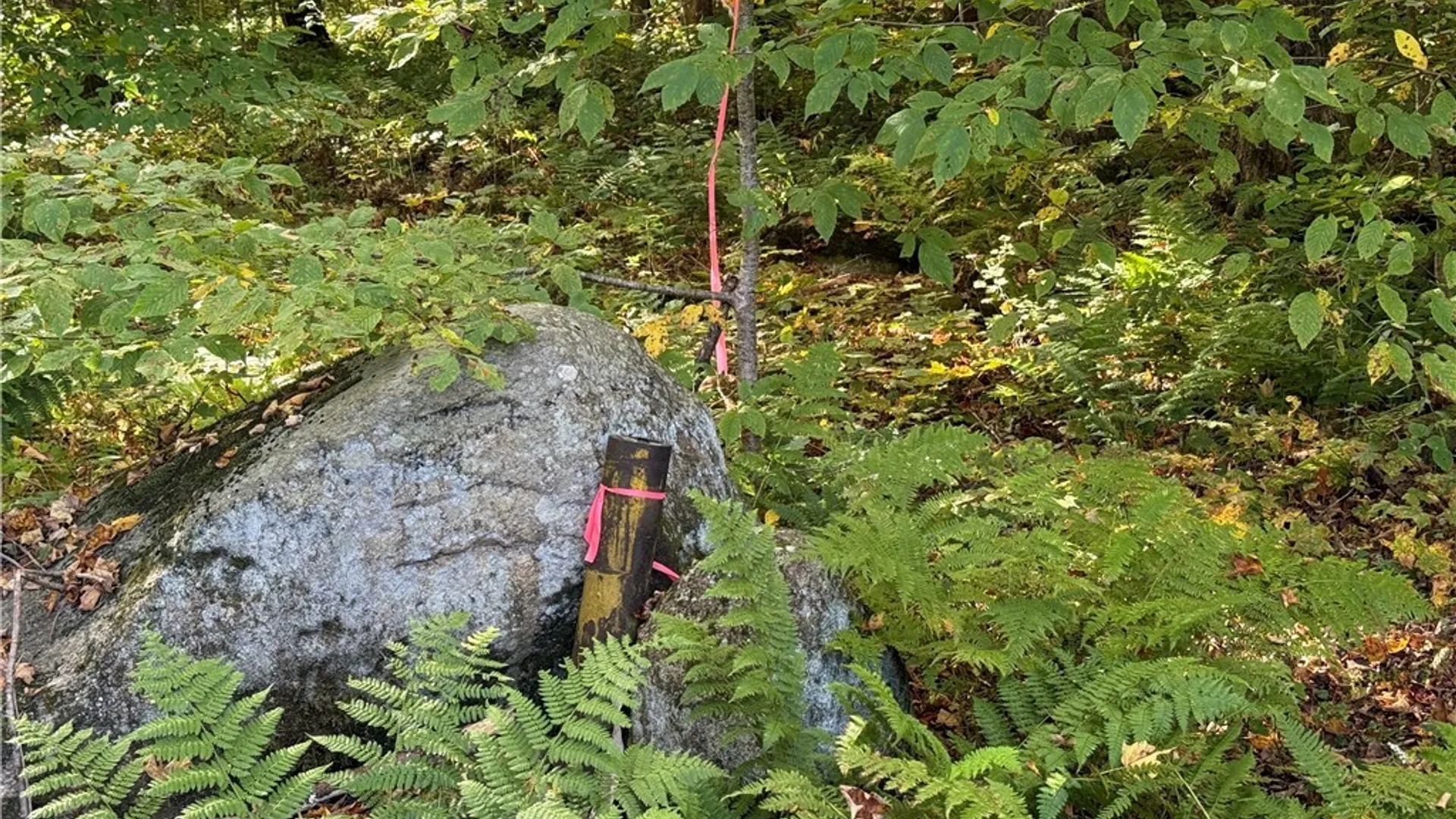 Property at 9822 Culver Brook Rd, Boonville, NY 13309 9