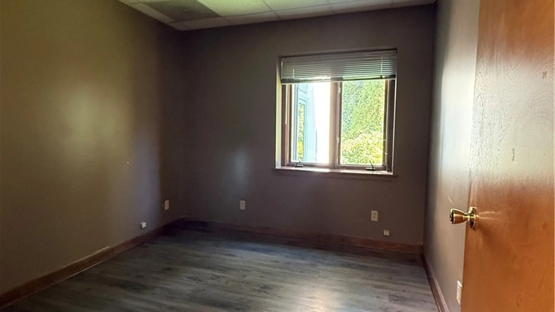 Property at 4390 Quinby Drive, Hamburg, NY 14075 5