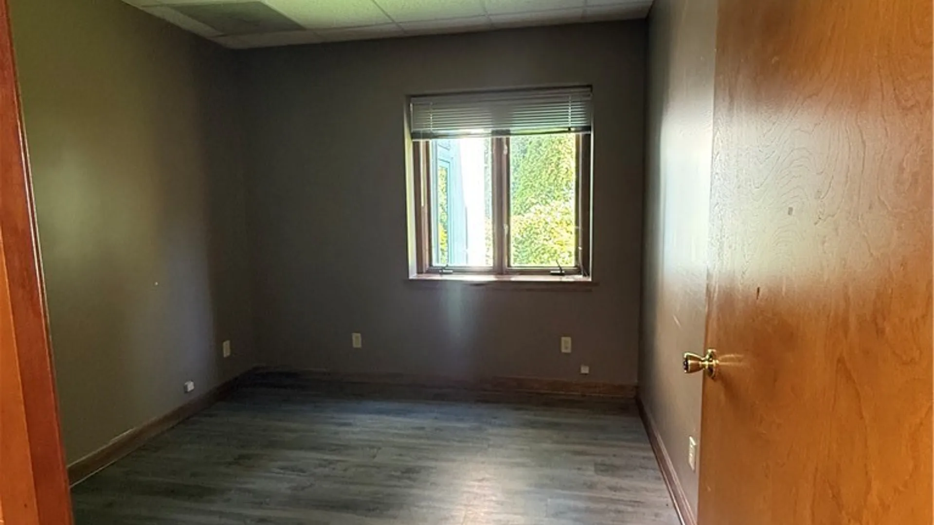Property at 4390 Quinby Drive, Hamburg, NY 14075 7