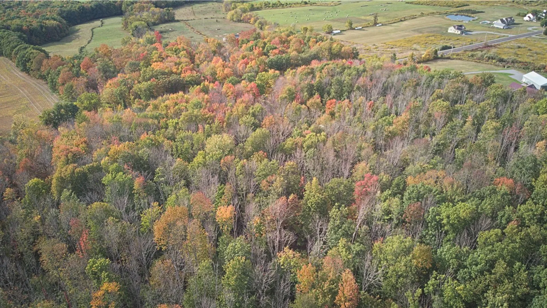 Property at 6571 Stagecoach Road, Conesus, NY 14435 2