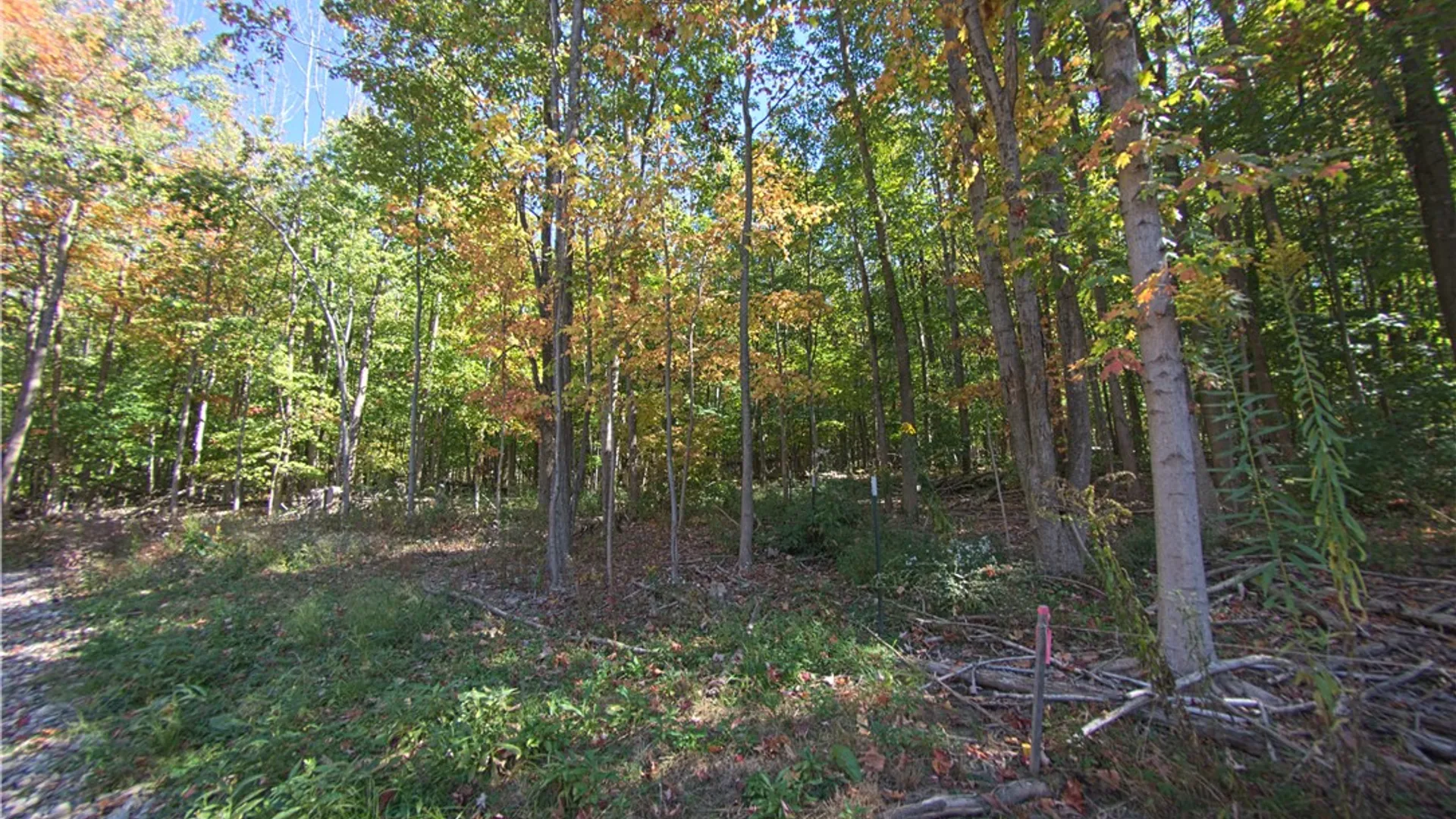 Property at 6571 Stagecoach Road, Conesus, NY 14435 22