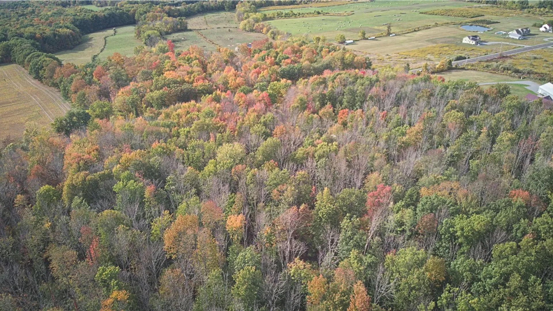 Property at 6571 Stagecoach Road, Conesus, NY 14435 5