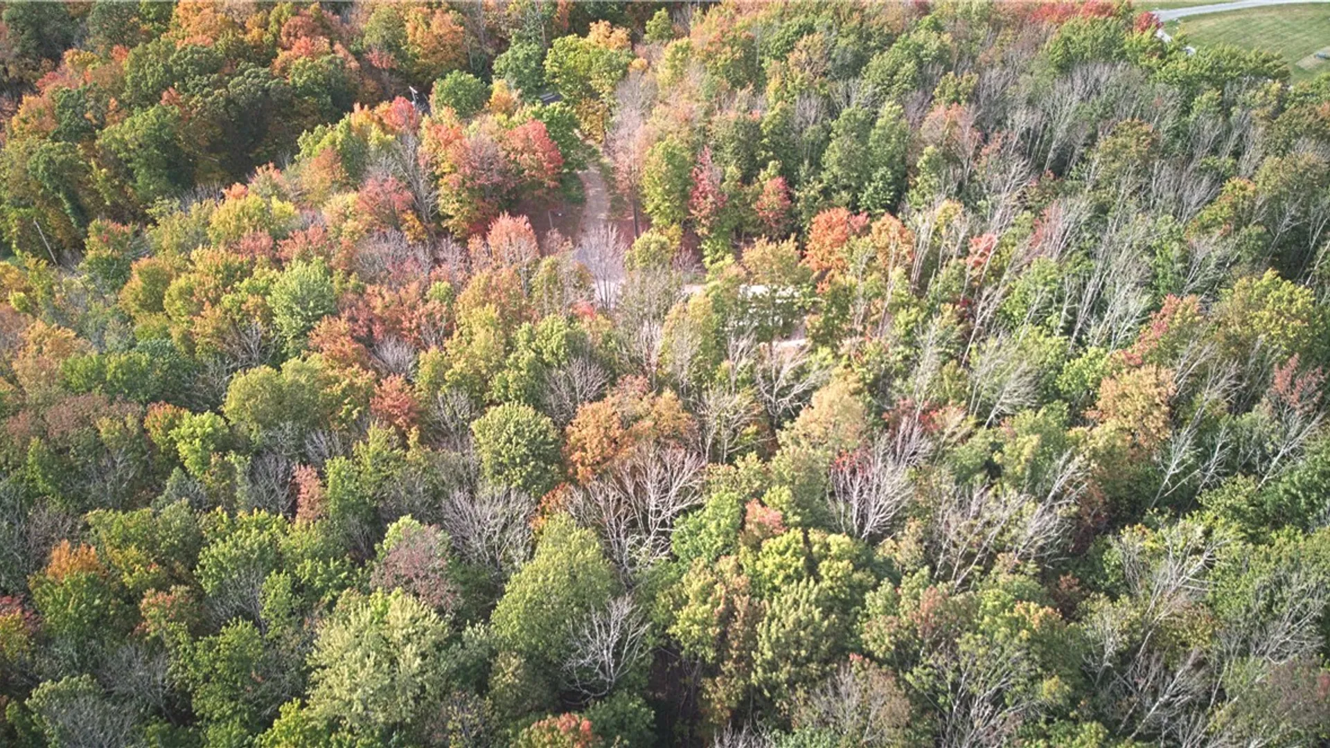 Property at 6571 Stagecoach Road, Conesus, NY 14435 7