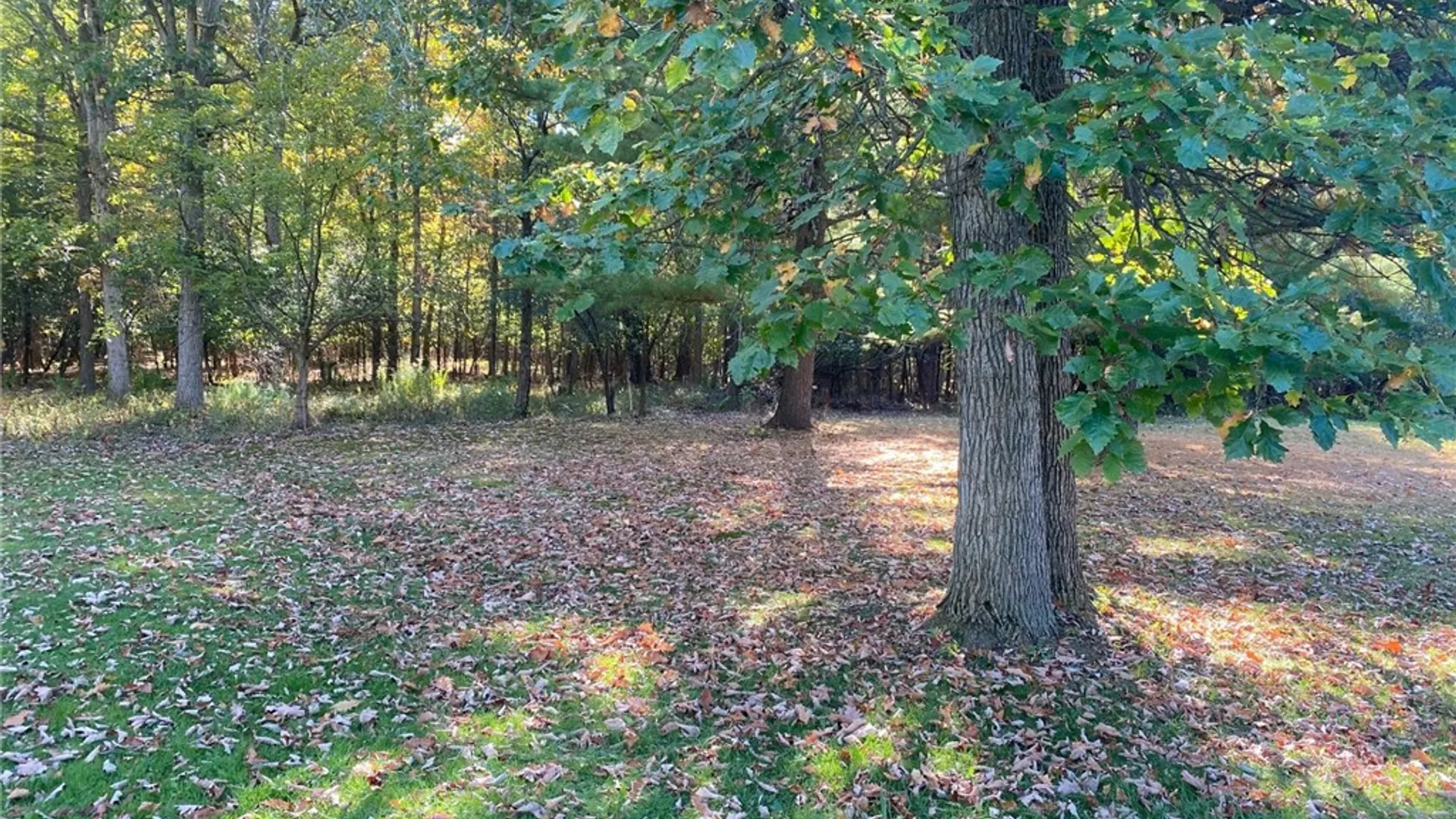 Property at 127 Drake Road, Lansing, NY 14882 36