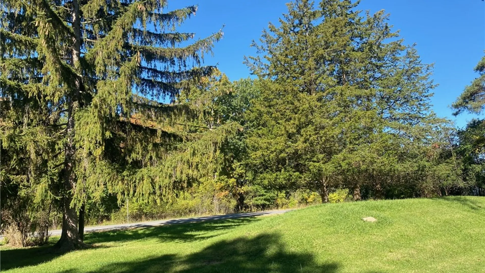 Property at 127 Drake Road, Lansing, NY 14882 40