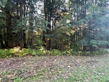 Property at Smartville, Boylston, NY 13083