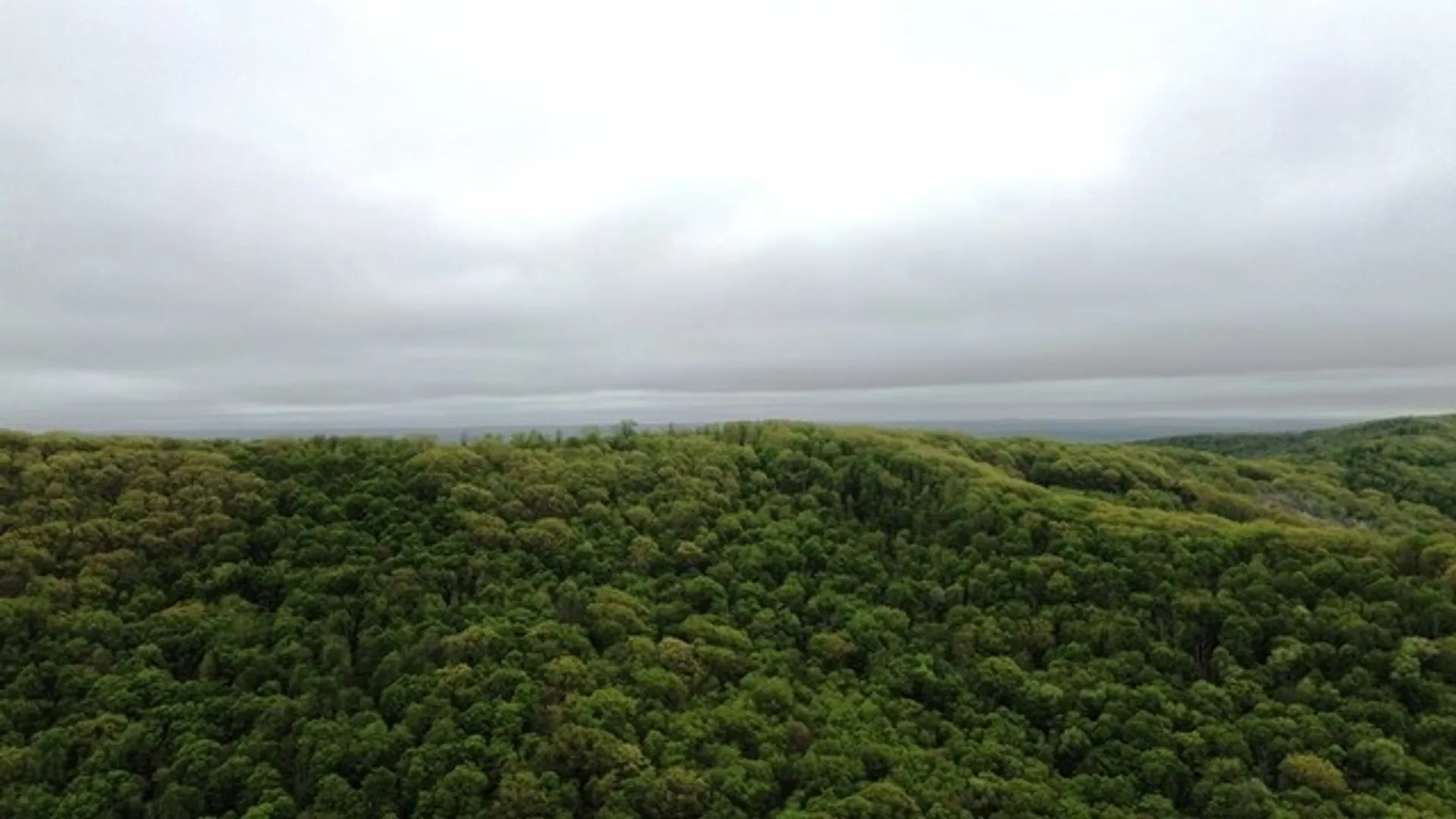 Property at 2564 Moore Hill Road, Shippen Twp, PA 15834 2