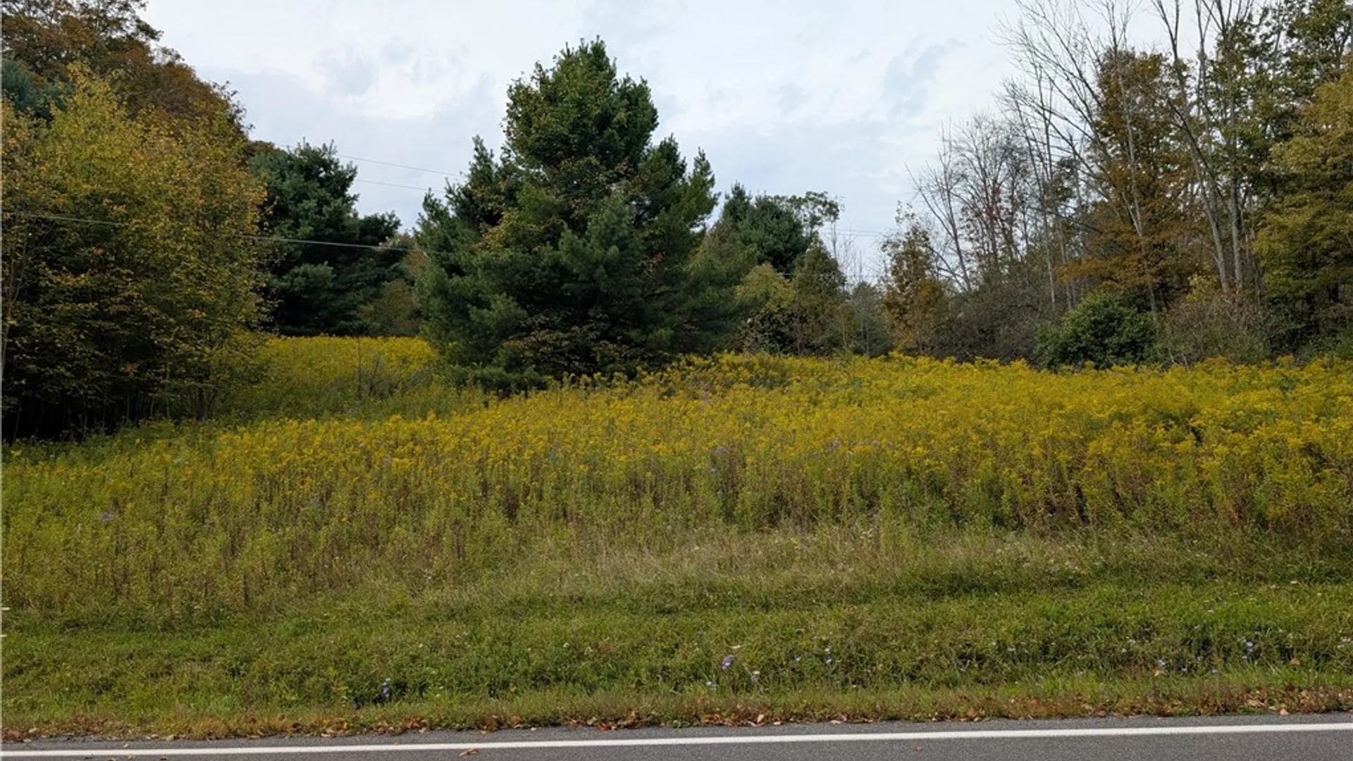 Property at Sacco Road, Hamilton, NY 13346 2