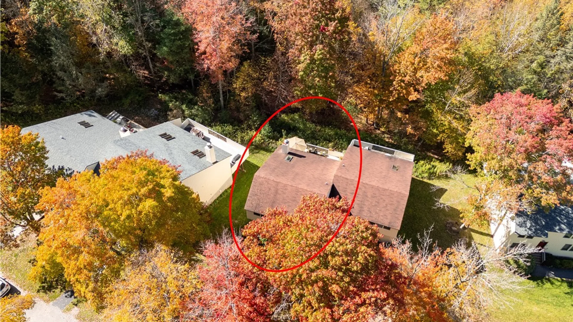 Property at 340 Pines Drive, Roxbury, NY 12474 39