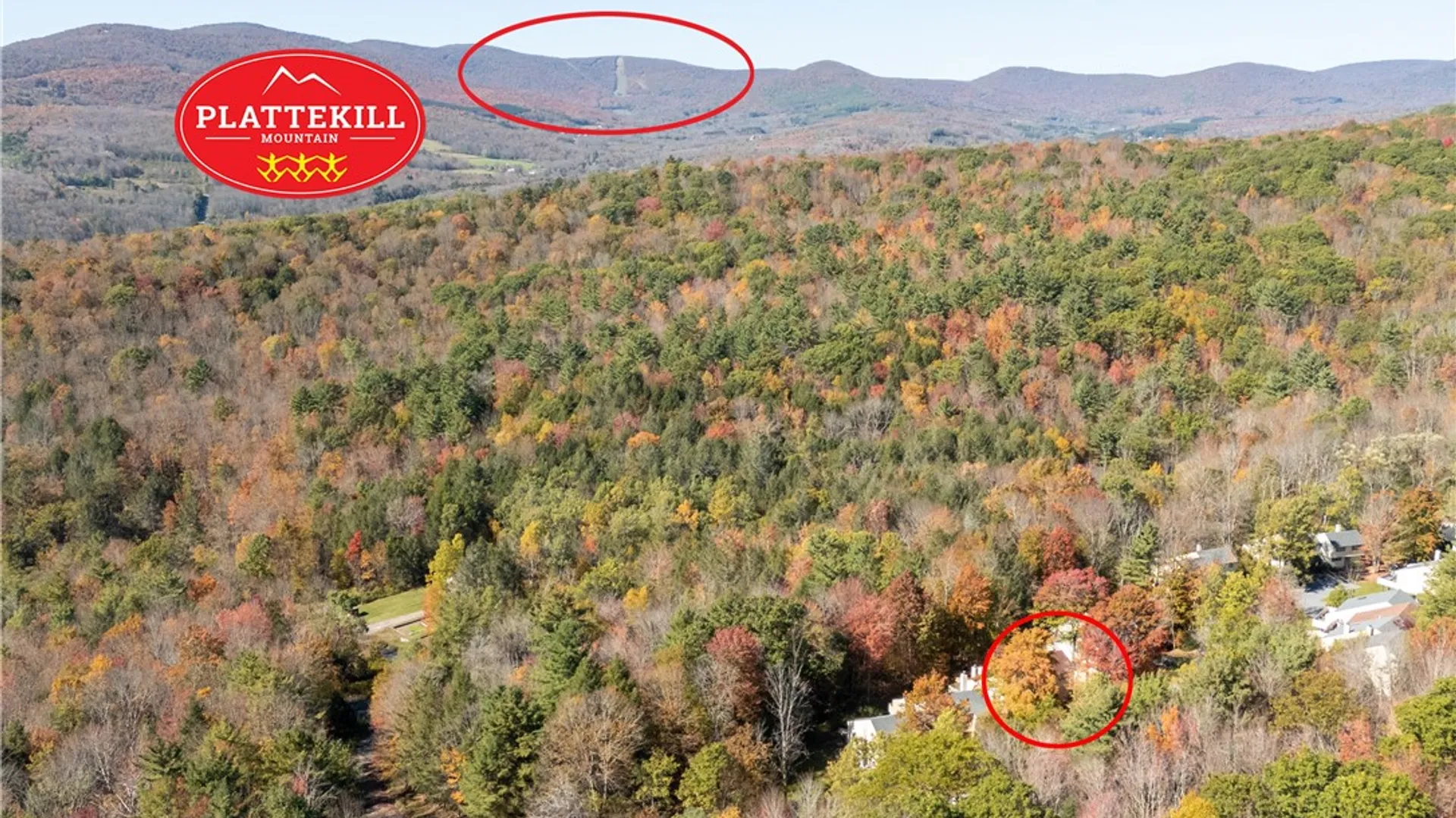 Property at 340 Pines Drive, Roxbury, NY 12474 41