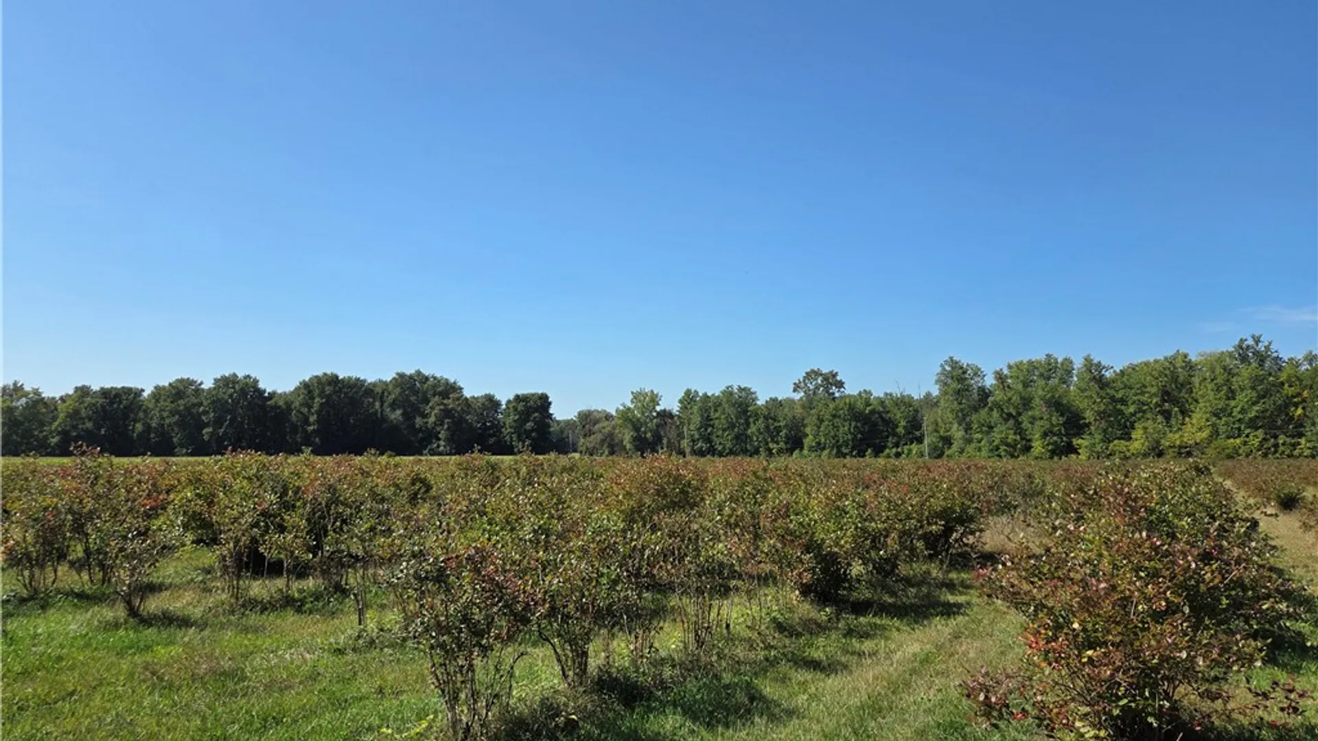 Property at 10252 Shortcut Rd Road, Cato, NY 13033 8