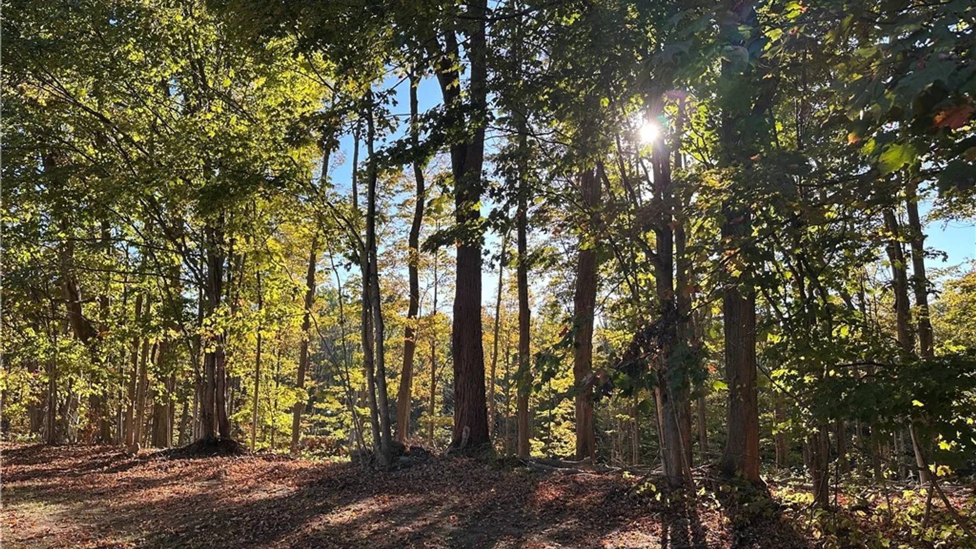 Property at 353 County Route 35, Palermo, NY 13069 49