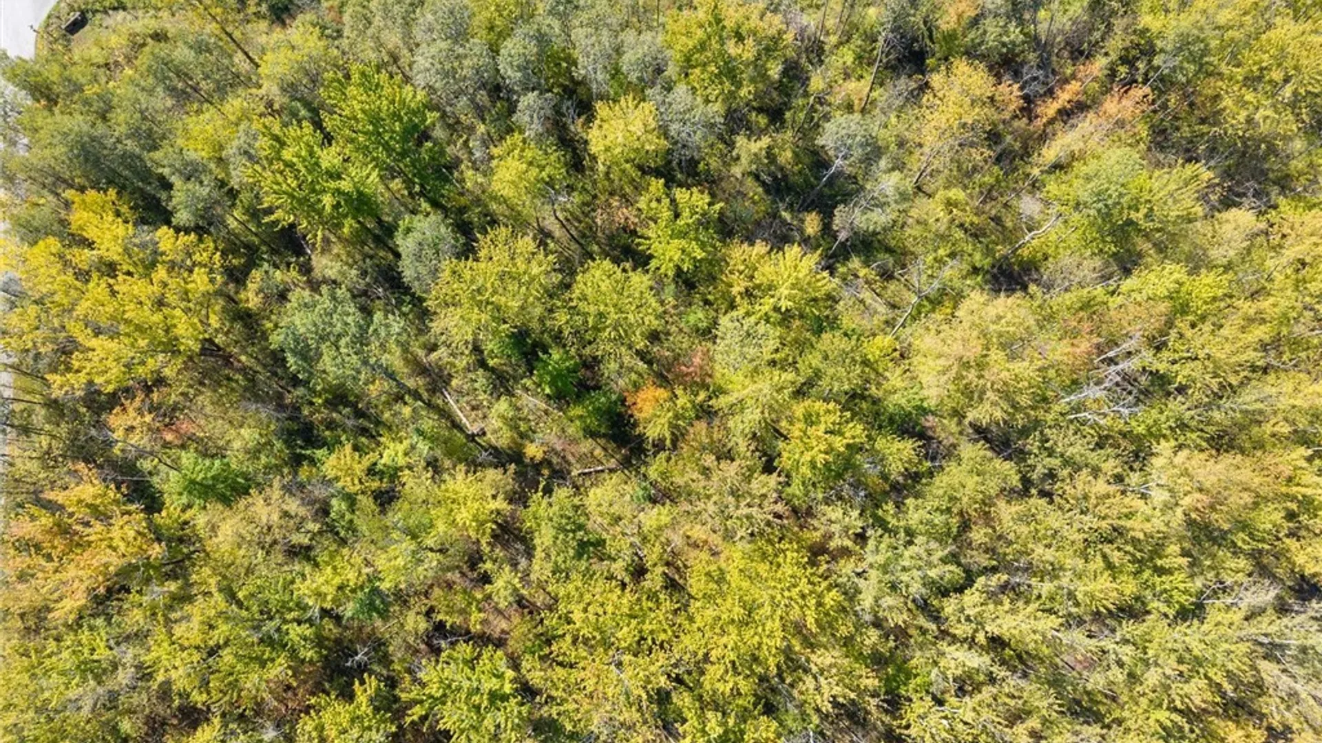 Property at Monahan Place, Oneida, NY 13421 9