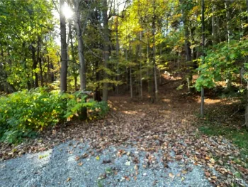 Property at 10051 Route 62, Persia, NY 14070