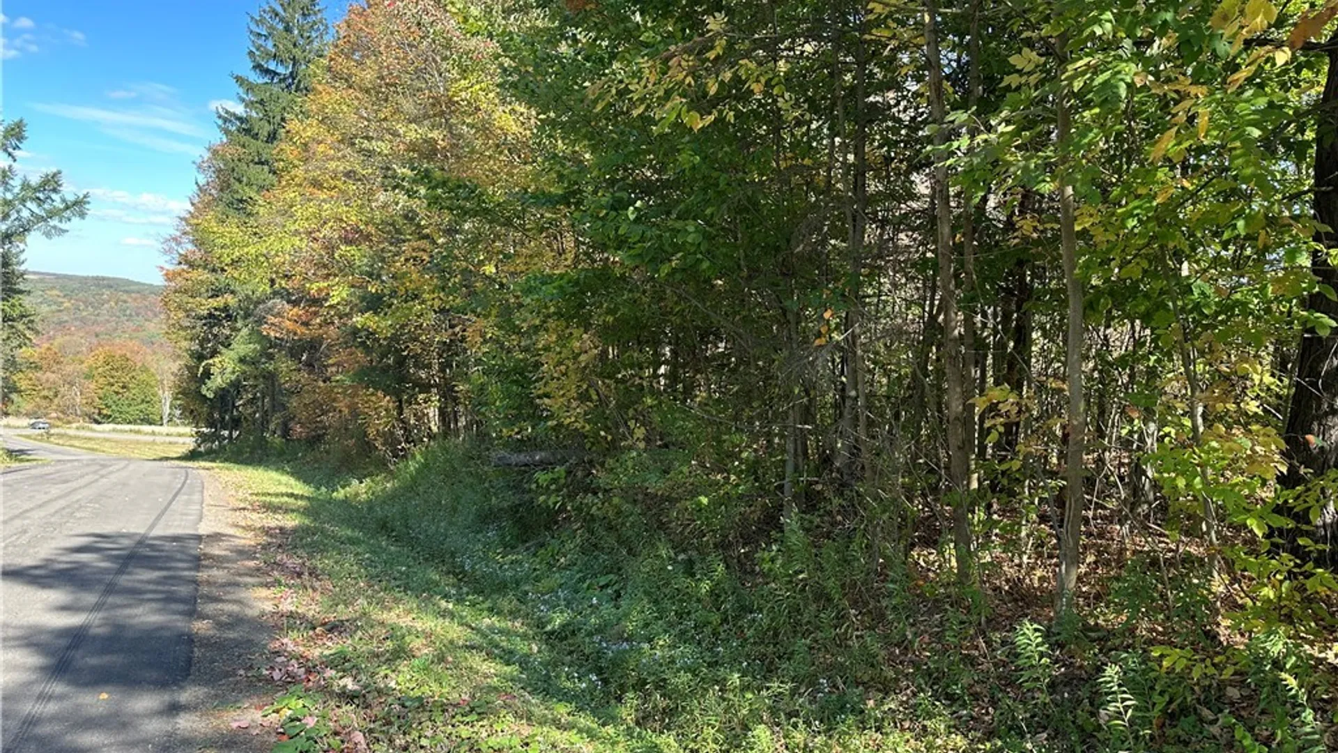 Property at Prill Road, Ashford, NY 14729 2