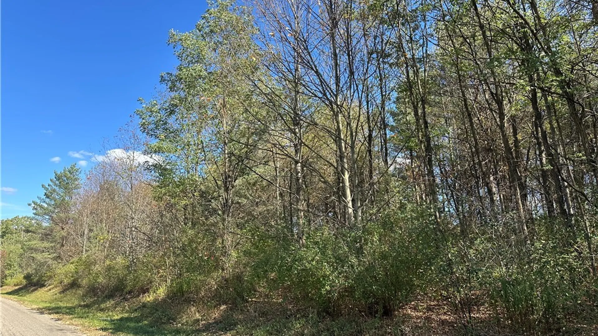 Property at Prill Road, Ashford, NY 14729 8