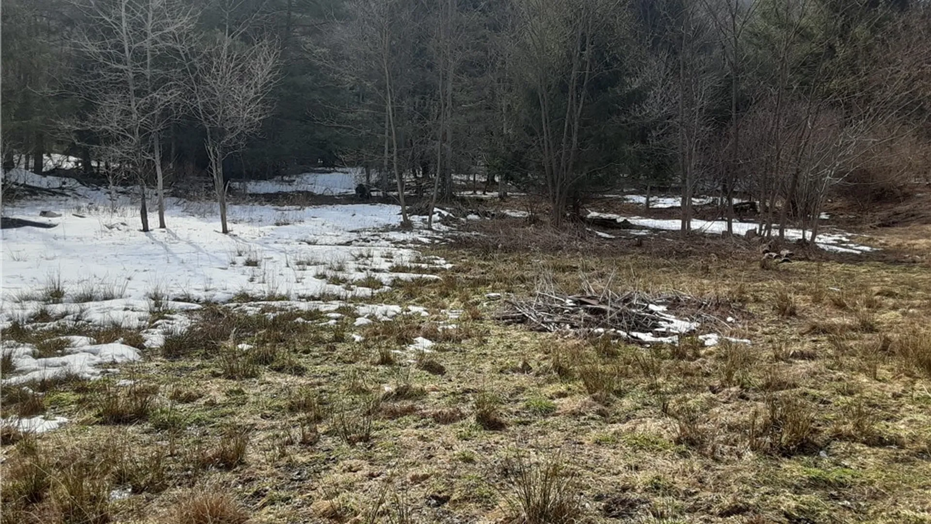 Property at Lot A Porter Hollow Road, Great Valley, NY 14741 10