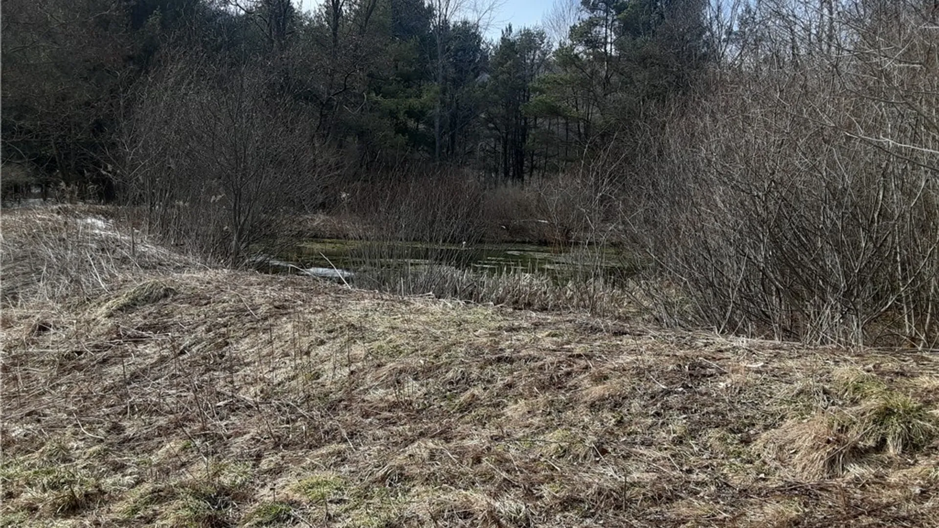 Property at Lot A Porter Hollow Road, Great Valley, NY 14741 11