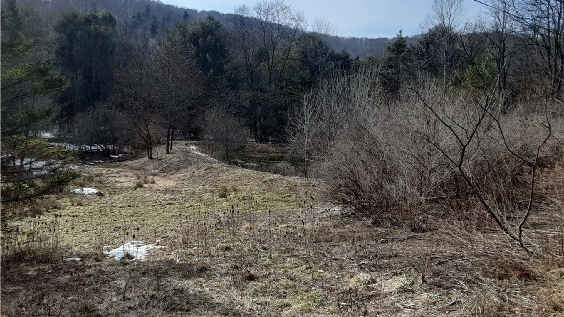 Property at Lot A Porter Hollow Road, Great Valley, NY 14741 12