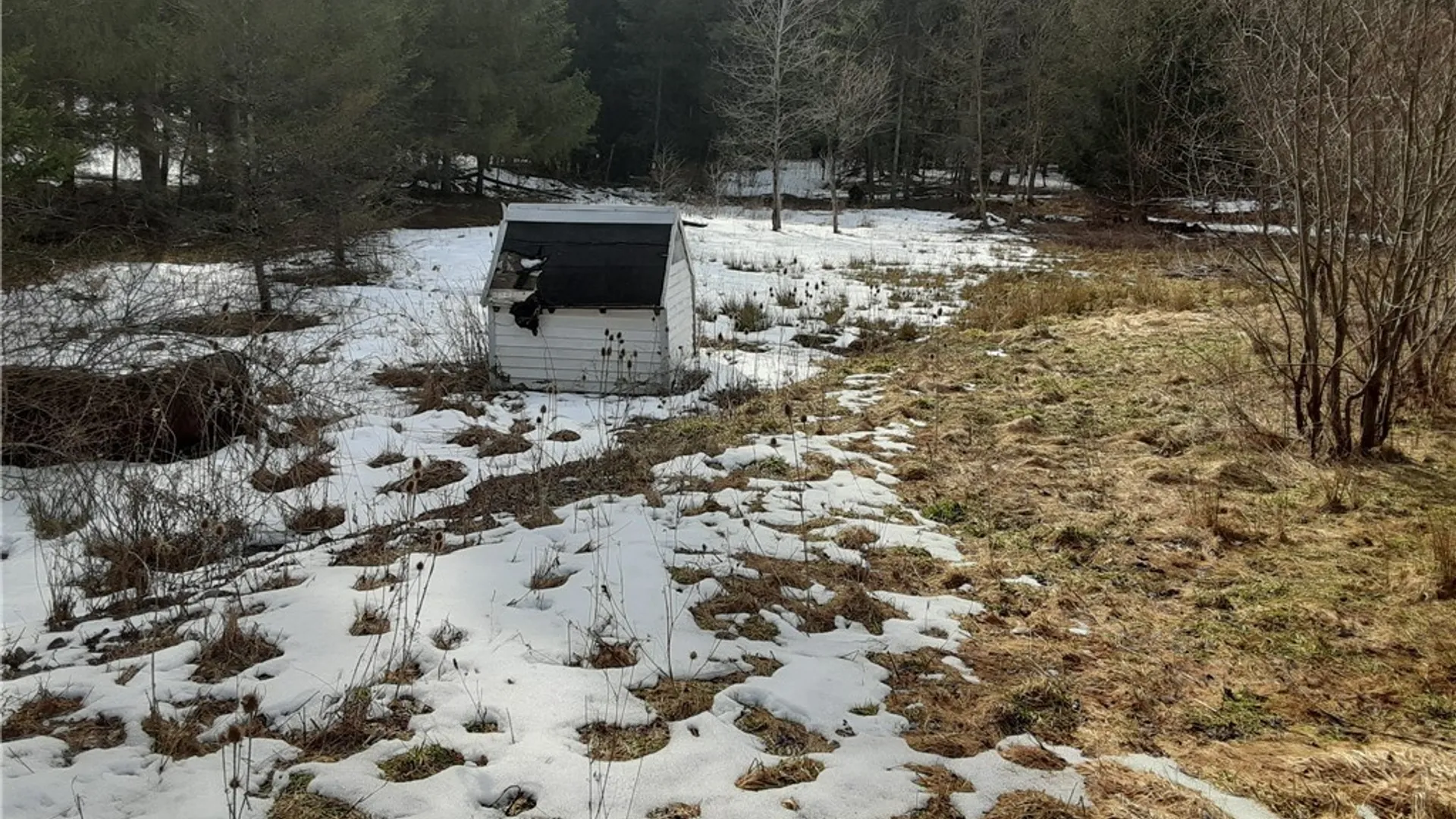 Property at Lot A Porter Hollow Road, Great Valley, NY 14741 13