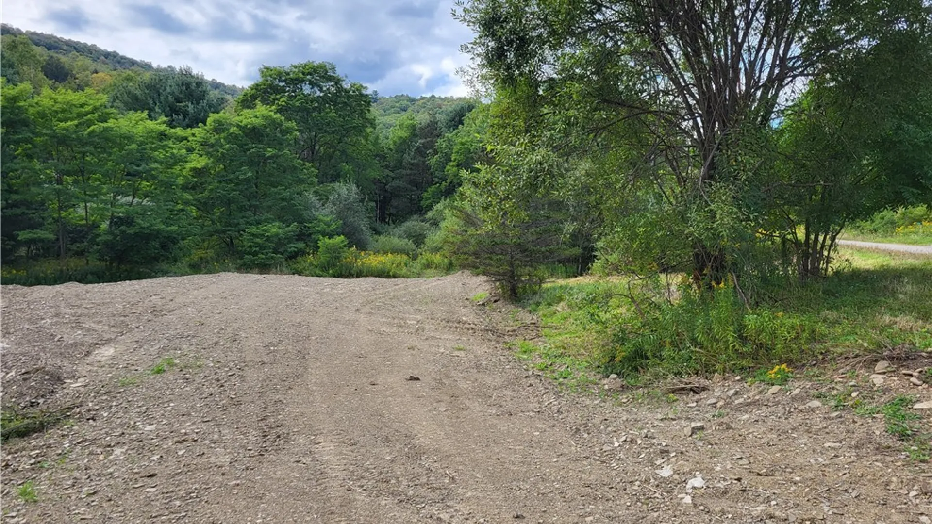 Property at Lot A Porter Hollow Road, Great Valley, NY 14741 2