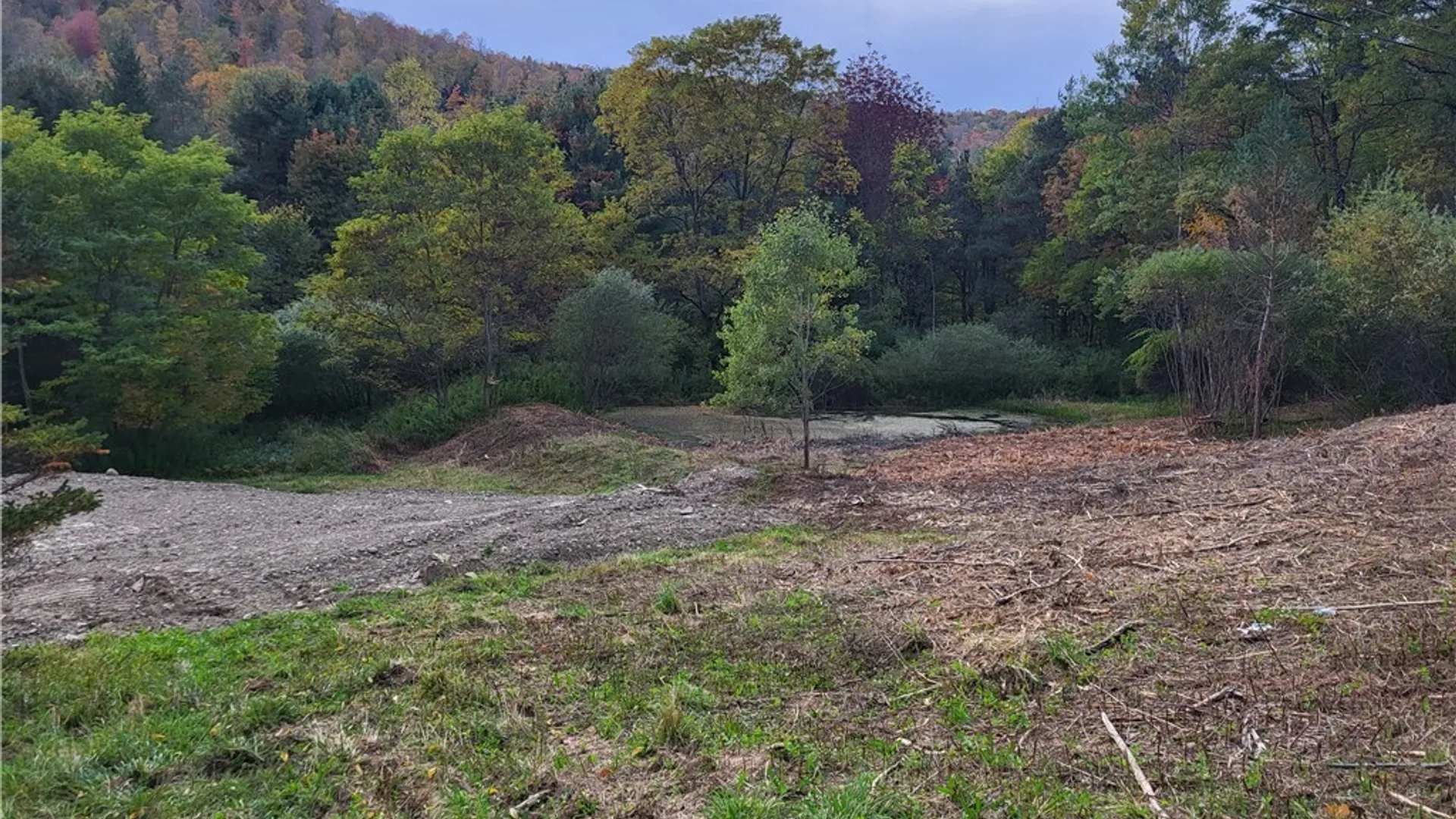 Property at Lot A Porter Hollow Road, Great Valley, NY 14741 4