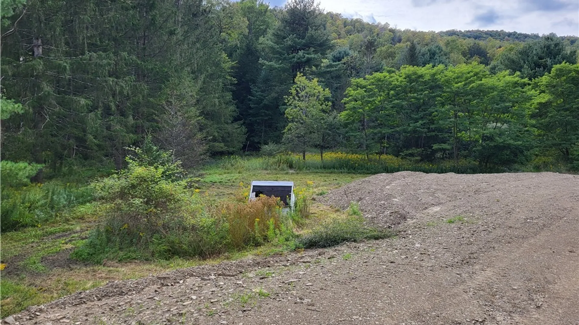 Property at Lot A Porter Hollow Road, Great Valley, NY 14741 6