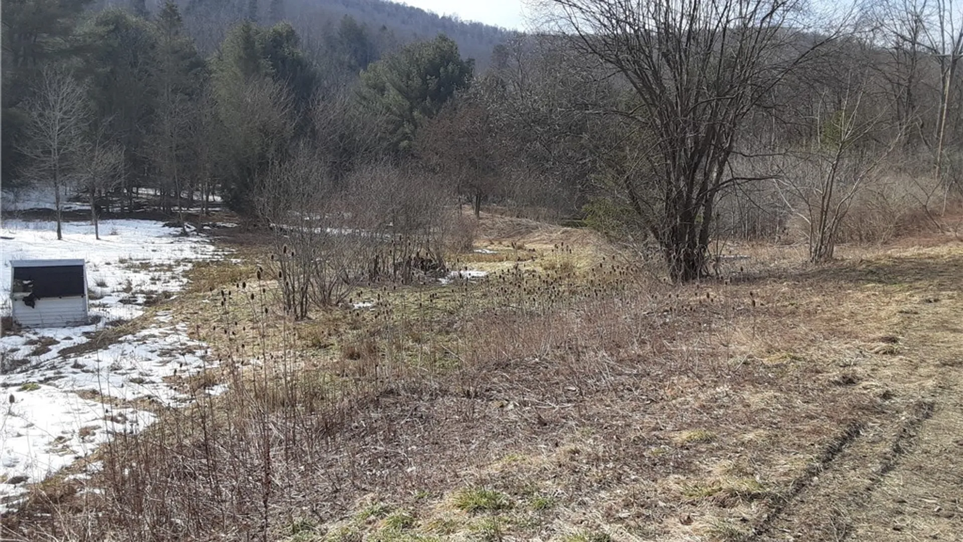 Property at Lot A Porter Hollow Road, Great Valley, NY 14741 8