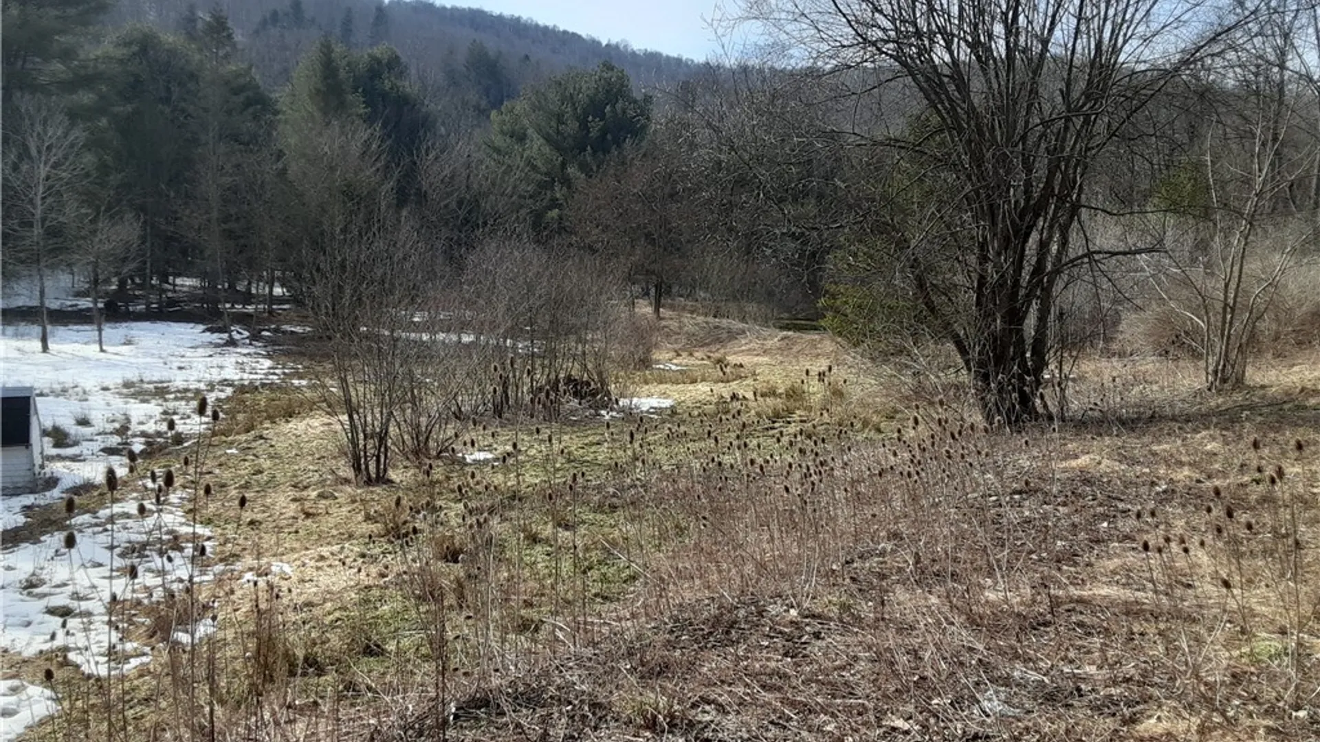 Property at Lot A Porter Hollow Road, Great Valley, NY 14741 9