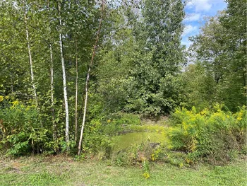 421 Welch Road, Blenheim, NY 12167