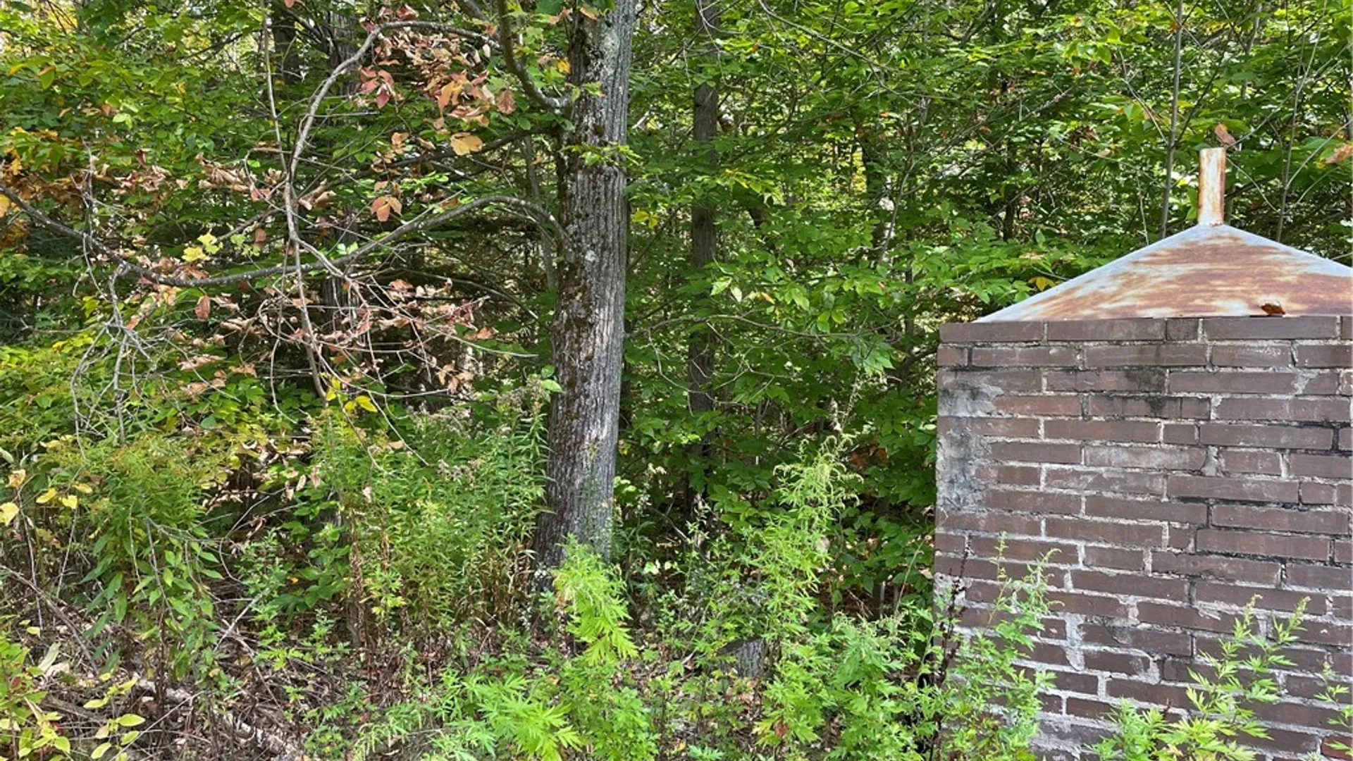 Property at 421 Welch Road, Blenheim, NY 12167 4