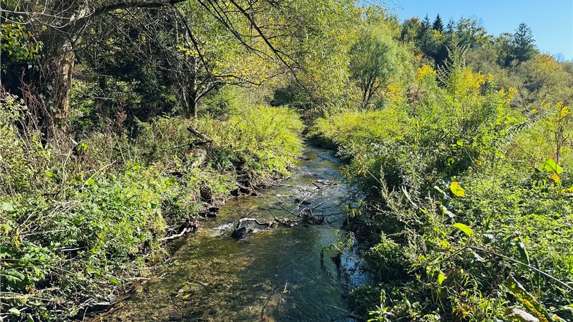 Property at 3466 County Highway 47, Tompkins, NY 13856 5