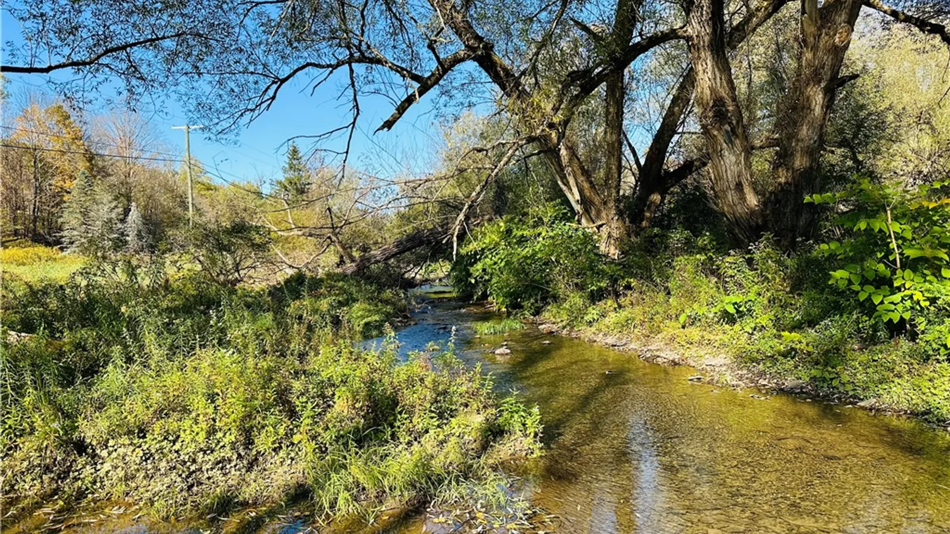 Property at 3466 County Highway 47, Tompkins, NY 13856 6