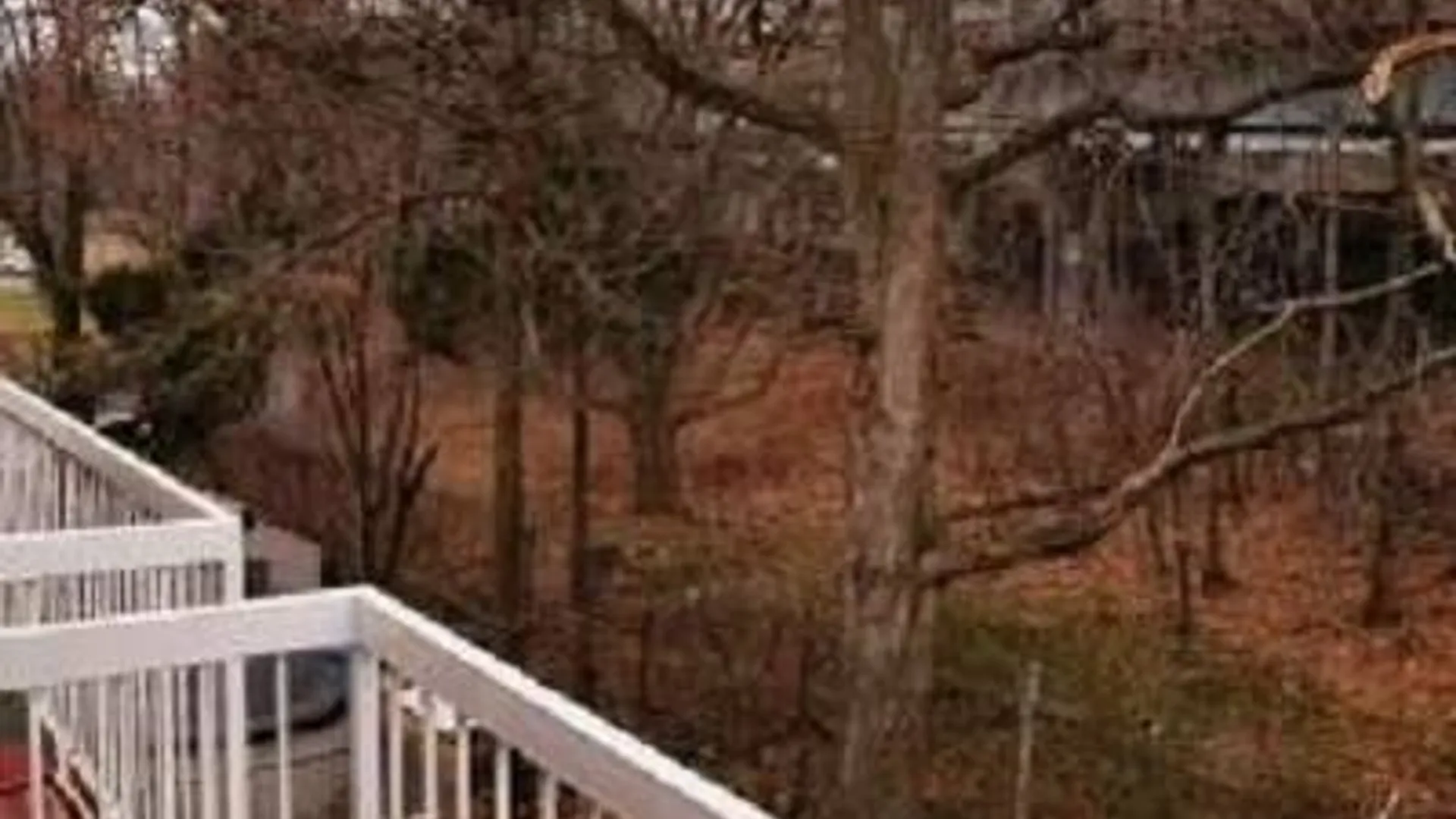 Property at 284 Dahlgren Pl, Brooklyn, NY 11228 13