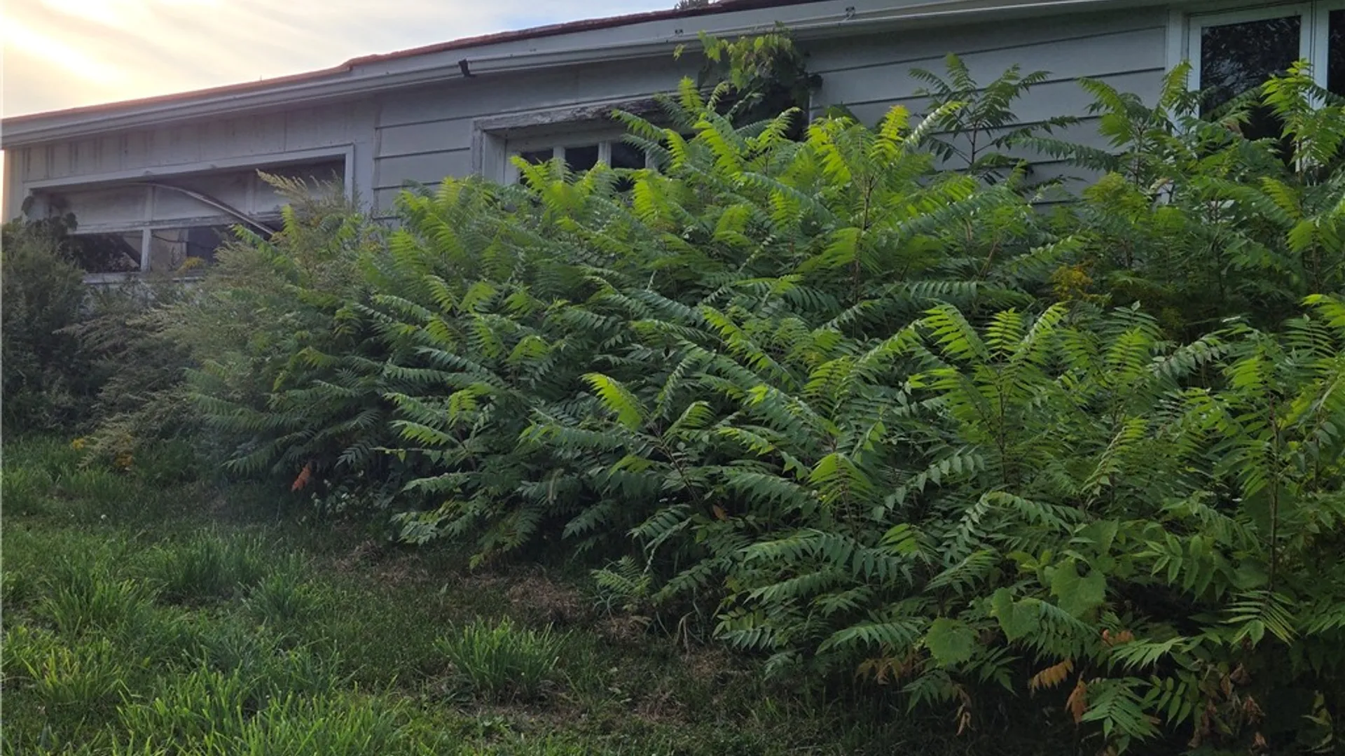 Property at 4443 State Route 41a, Niles, NY 13152 10